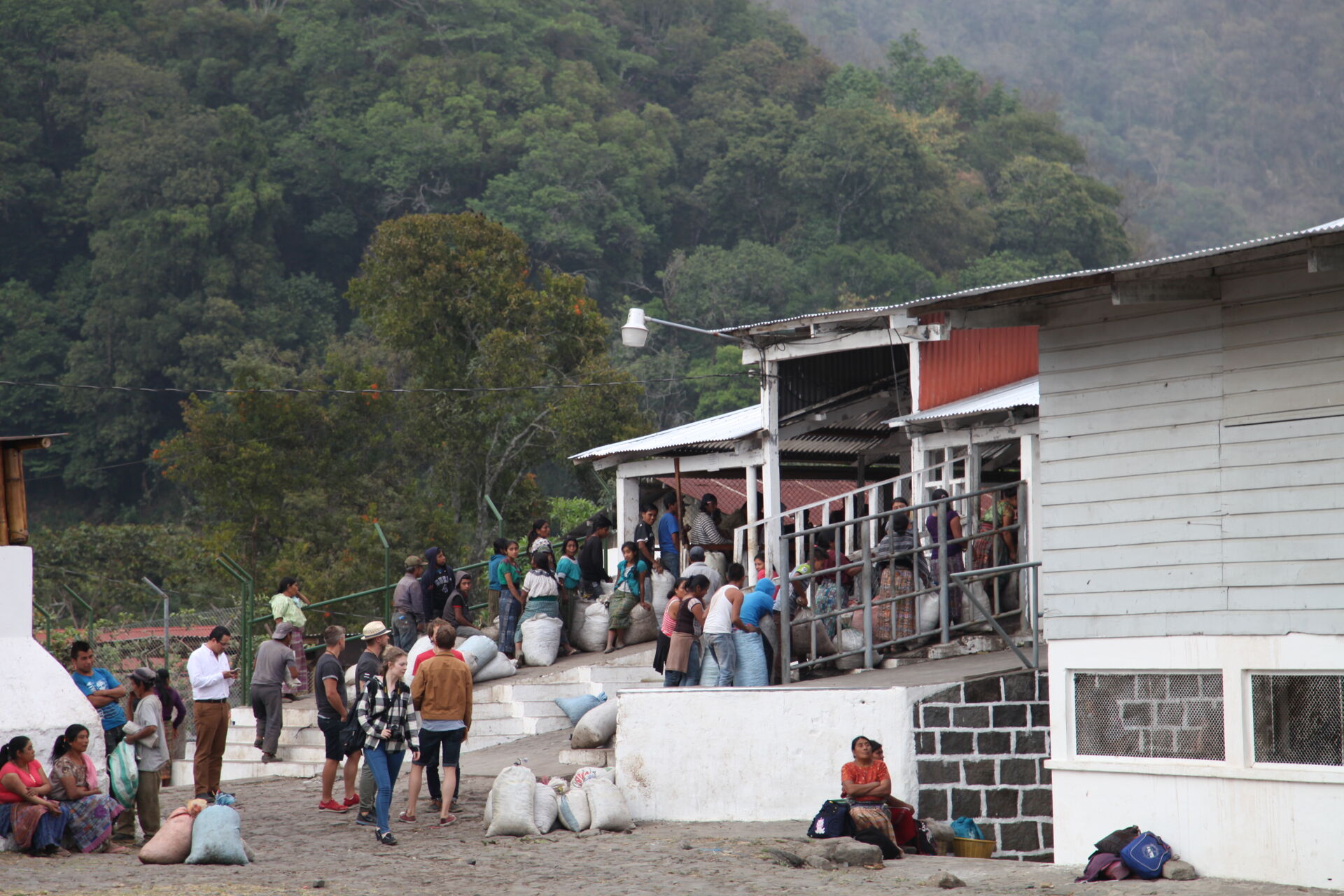 guate-finca-panama_51124810272_o.jpg