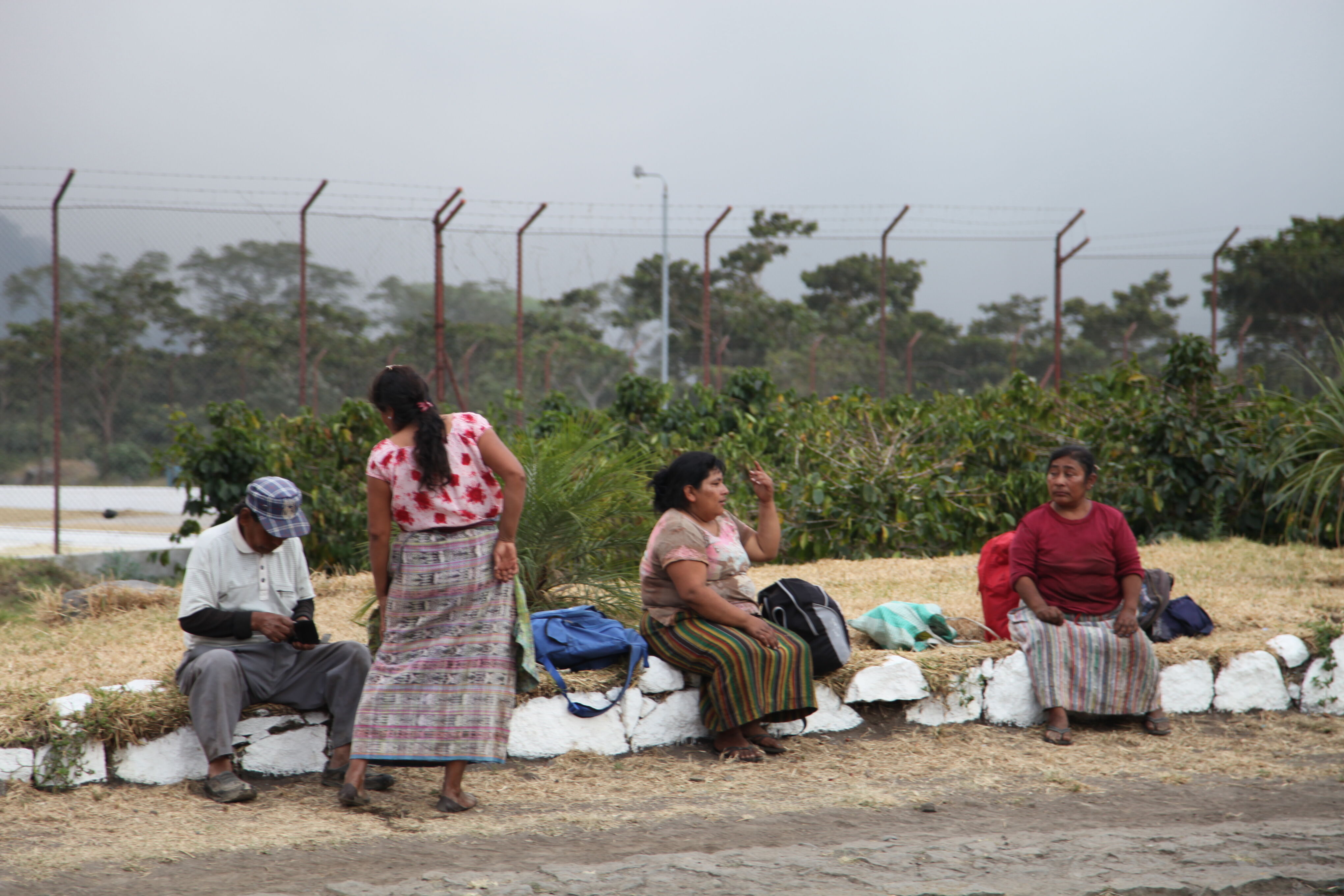 guate-finca-panama_51124810367_o.jpg