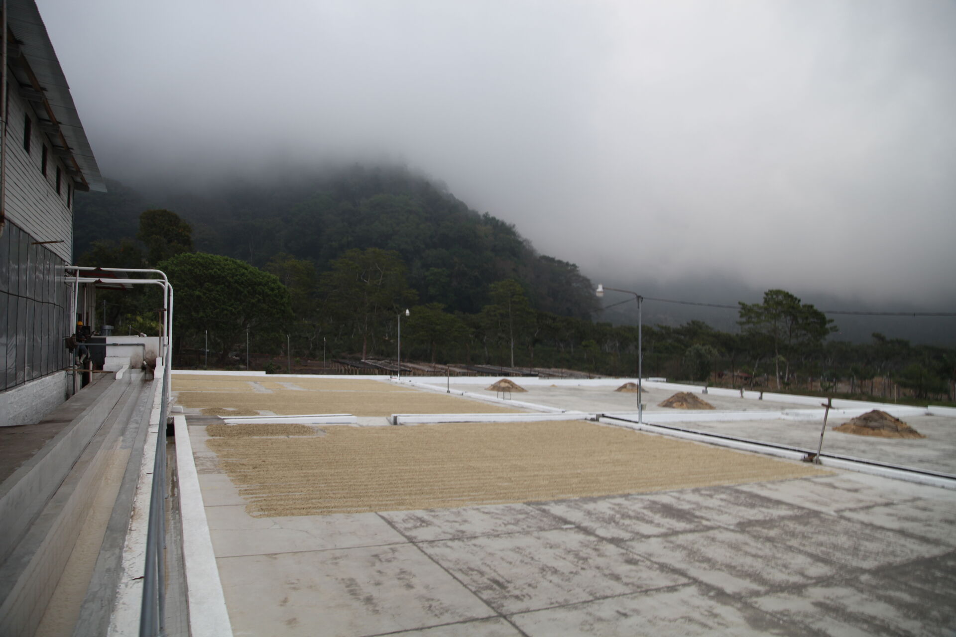 Panama