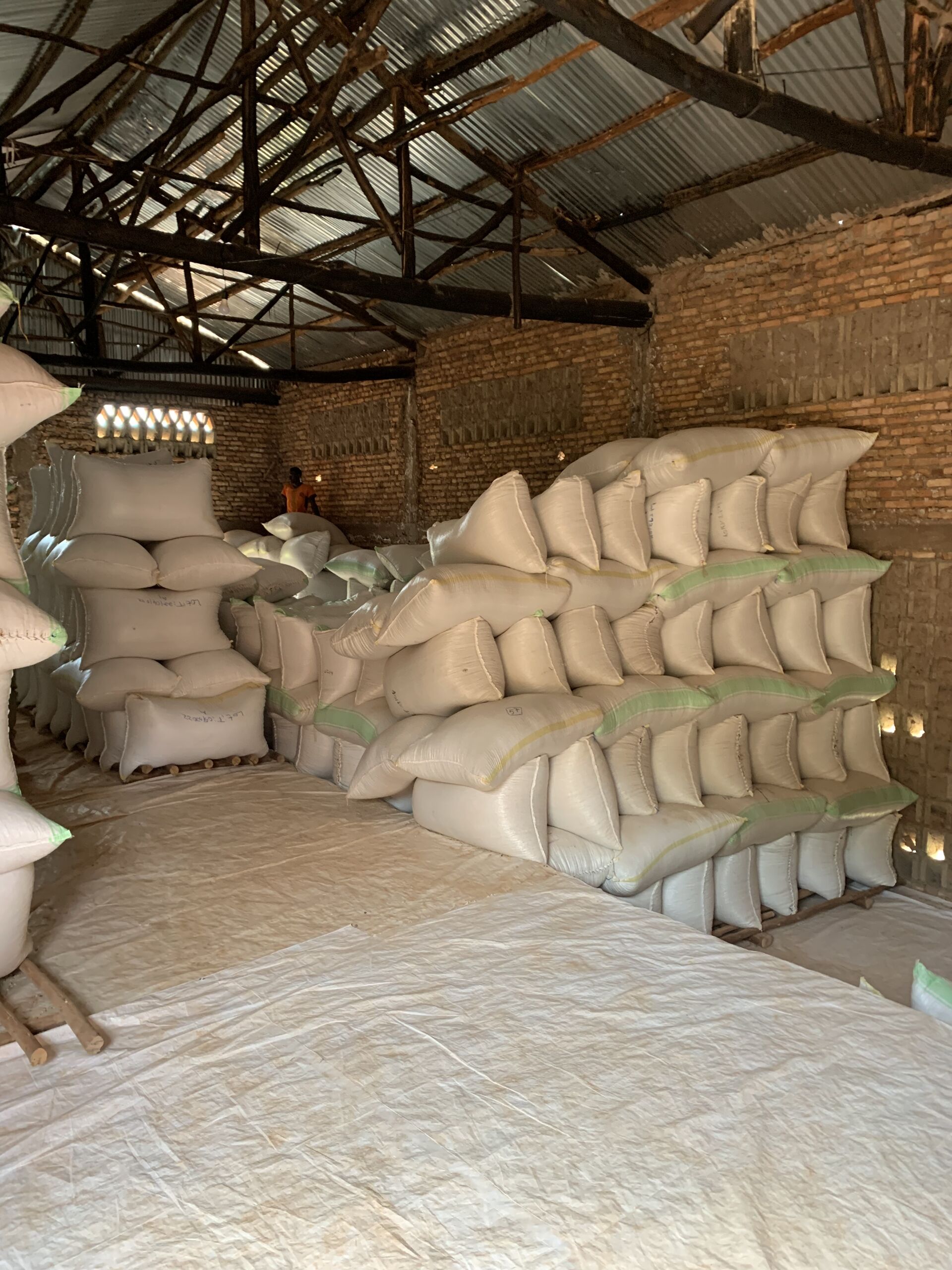 rwanda---taba---coffee-village_52516165412_o.jpg
