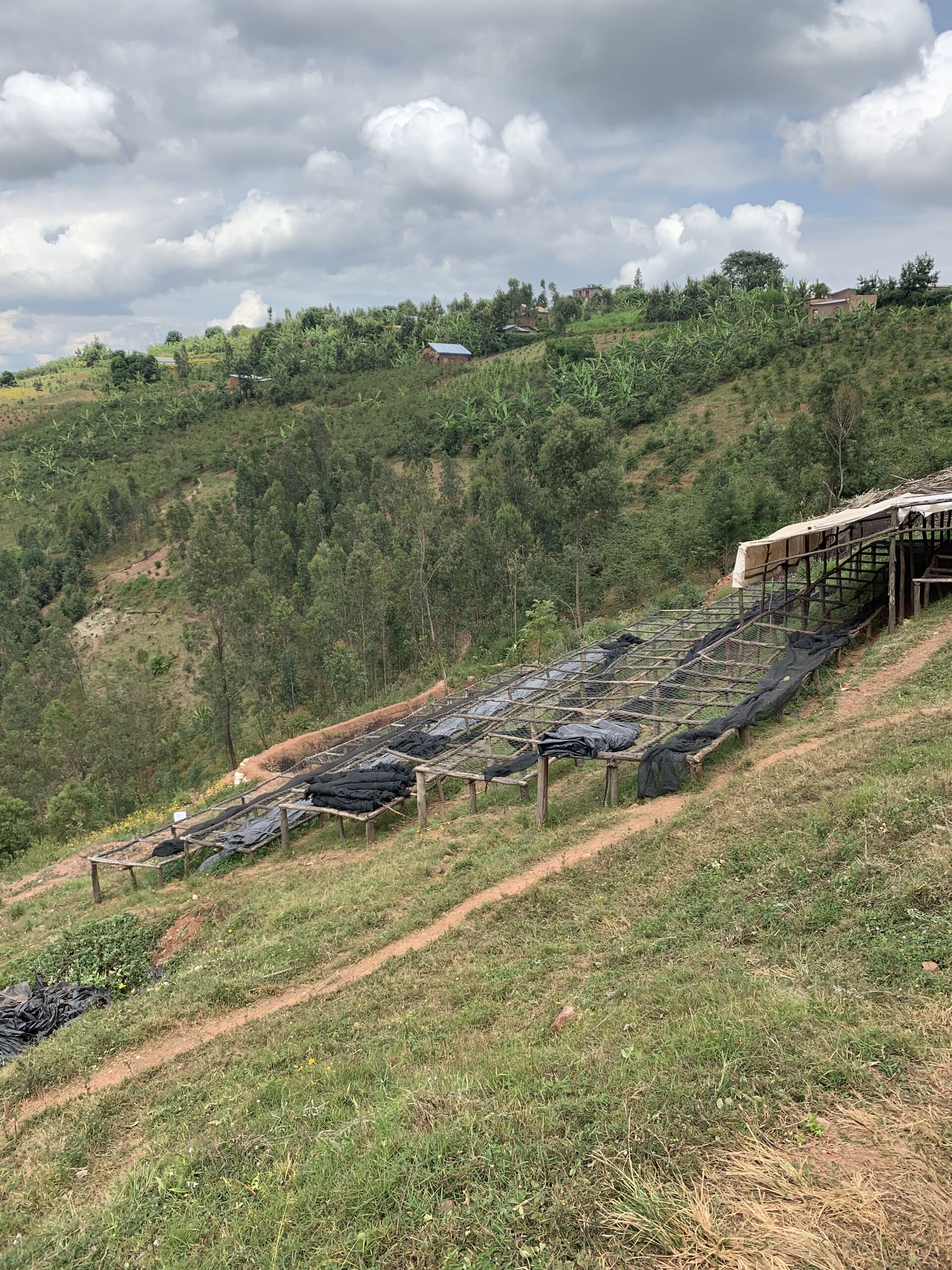 rwanda---taba---coffee-village_52516165597_o.jpg