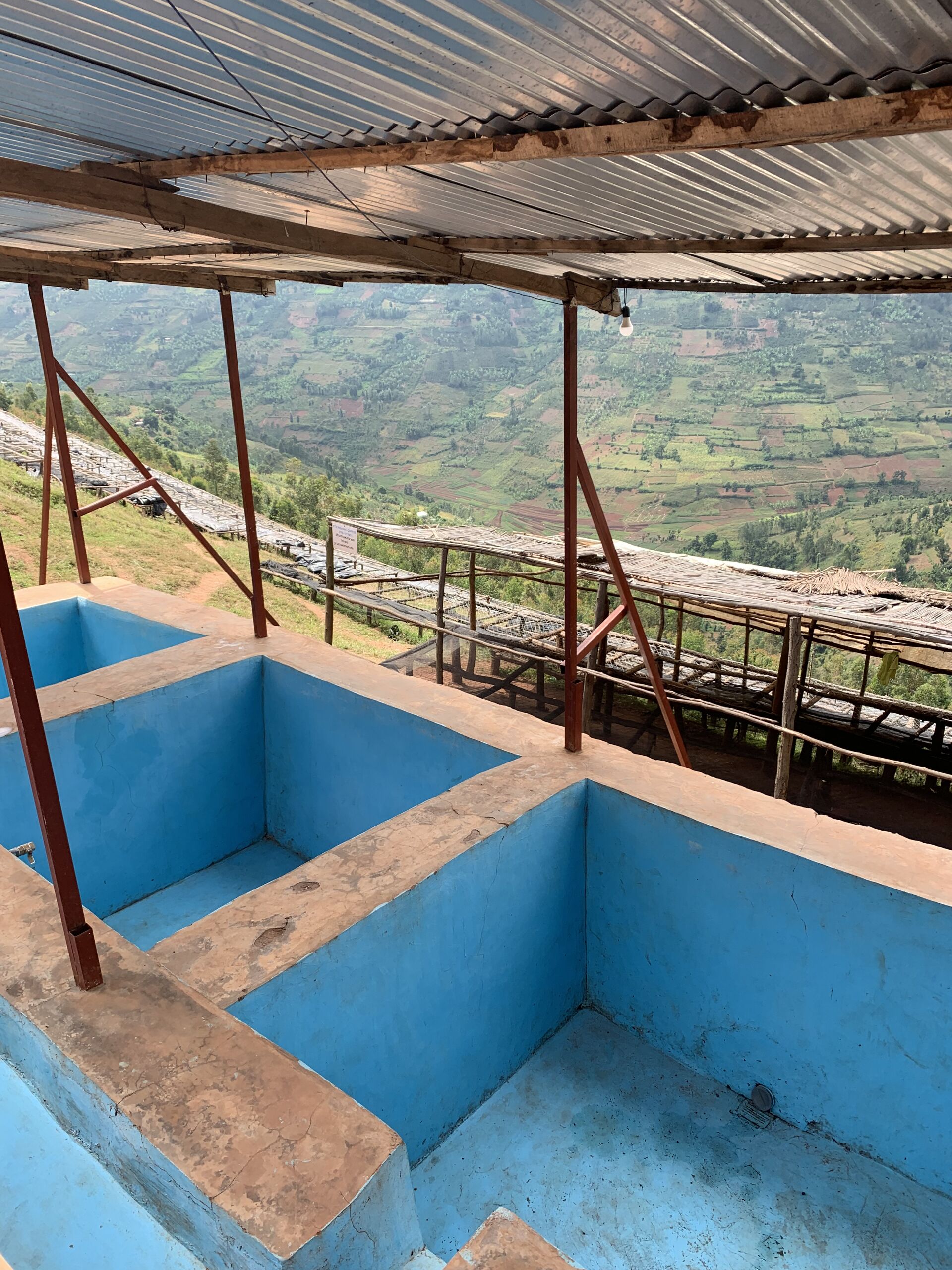 rwanda---taba---coffee-village_52516165827_o.jpg