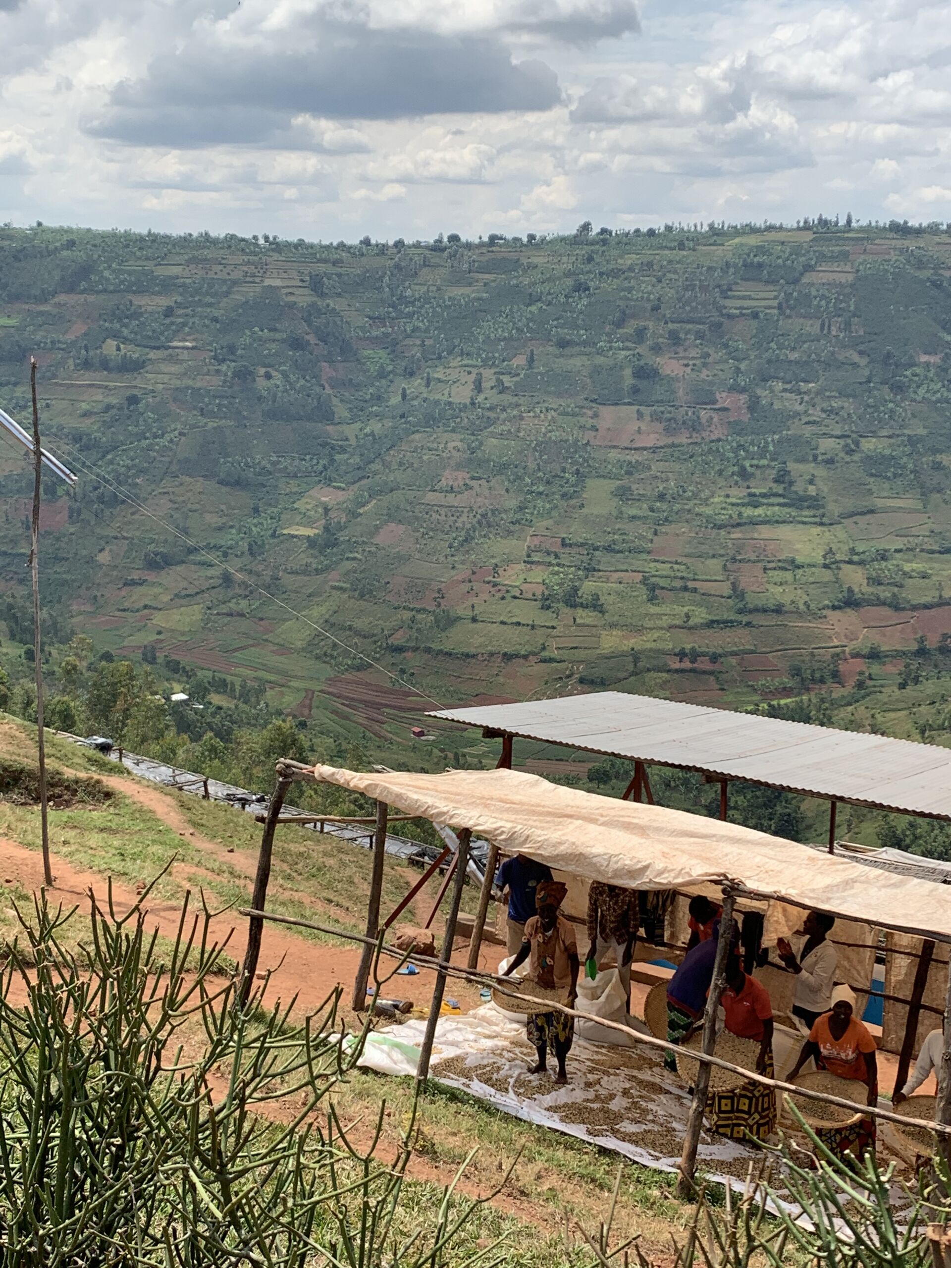 rwanda---taba---coffee-village_52516165882_o.jpg