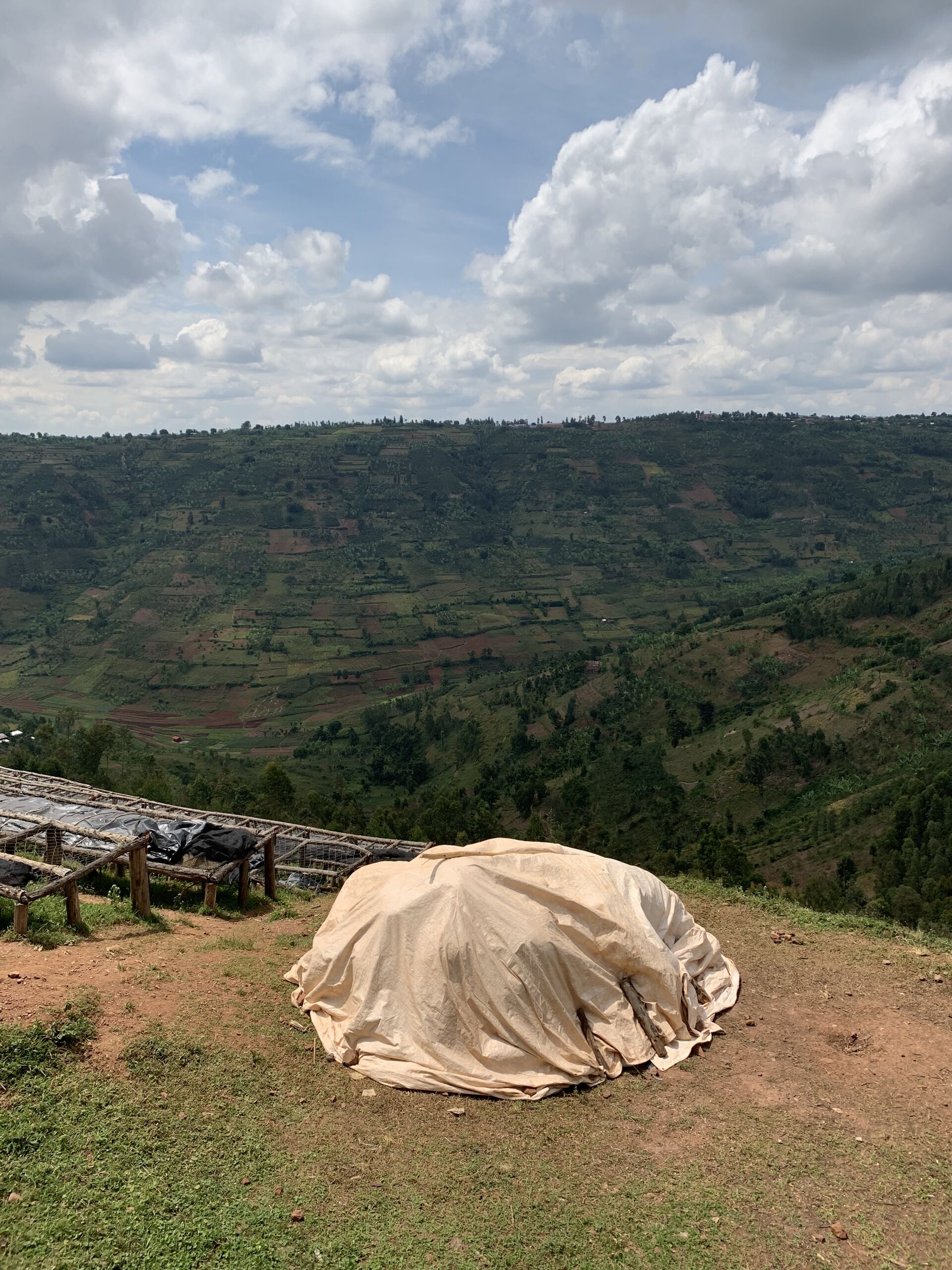rwanda---taba---coffee-village_52516166162_o.jpg