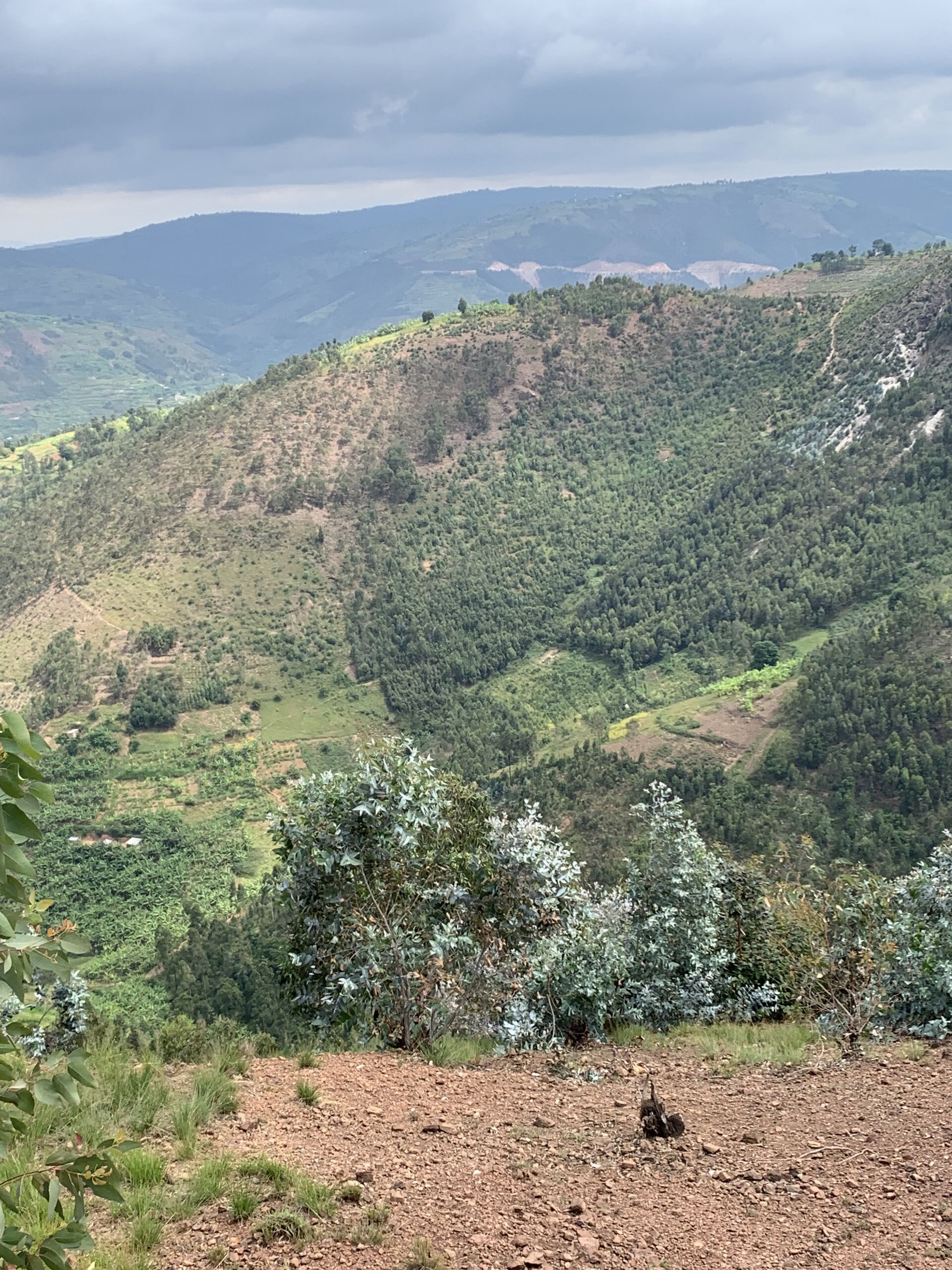 rwanda---taba---coffee-village_52516166327_o.jpg