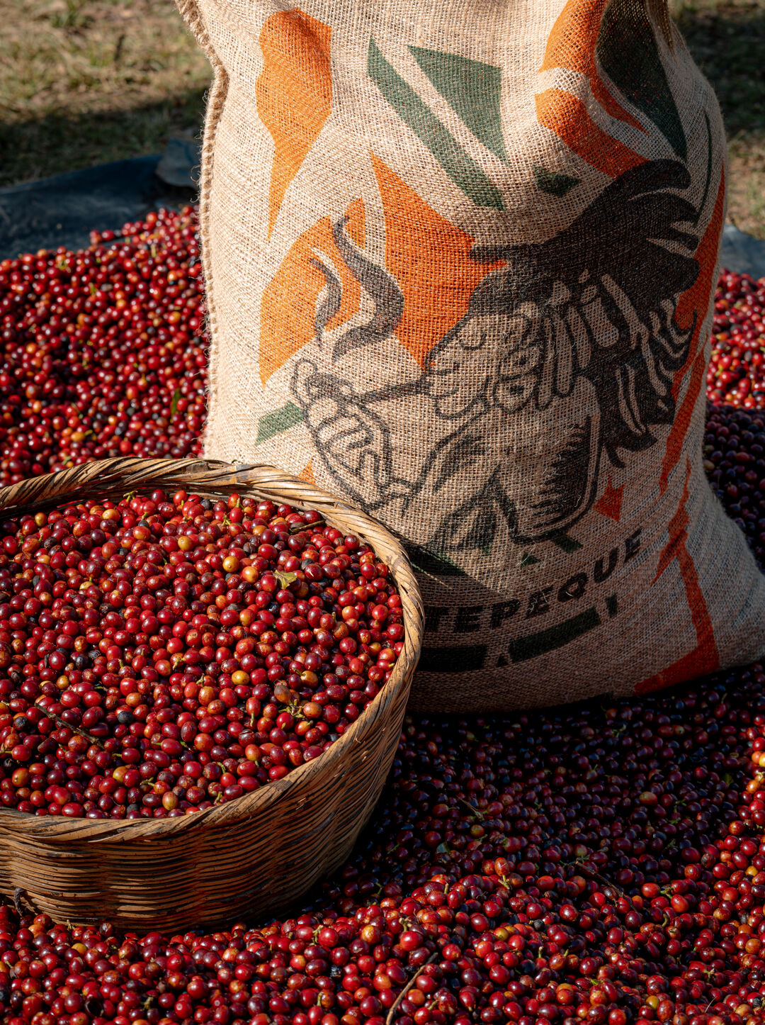 ayutepeque_August 23 (10).jpg