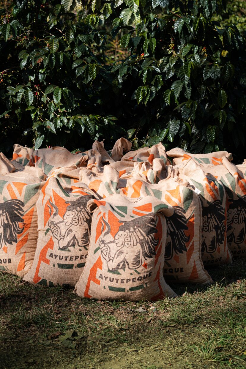 ayutepeque_August 23 (11).jpg