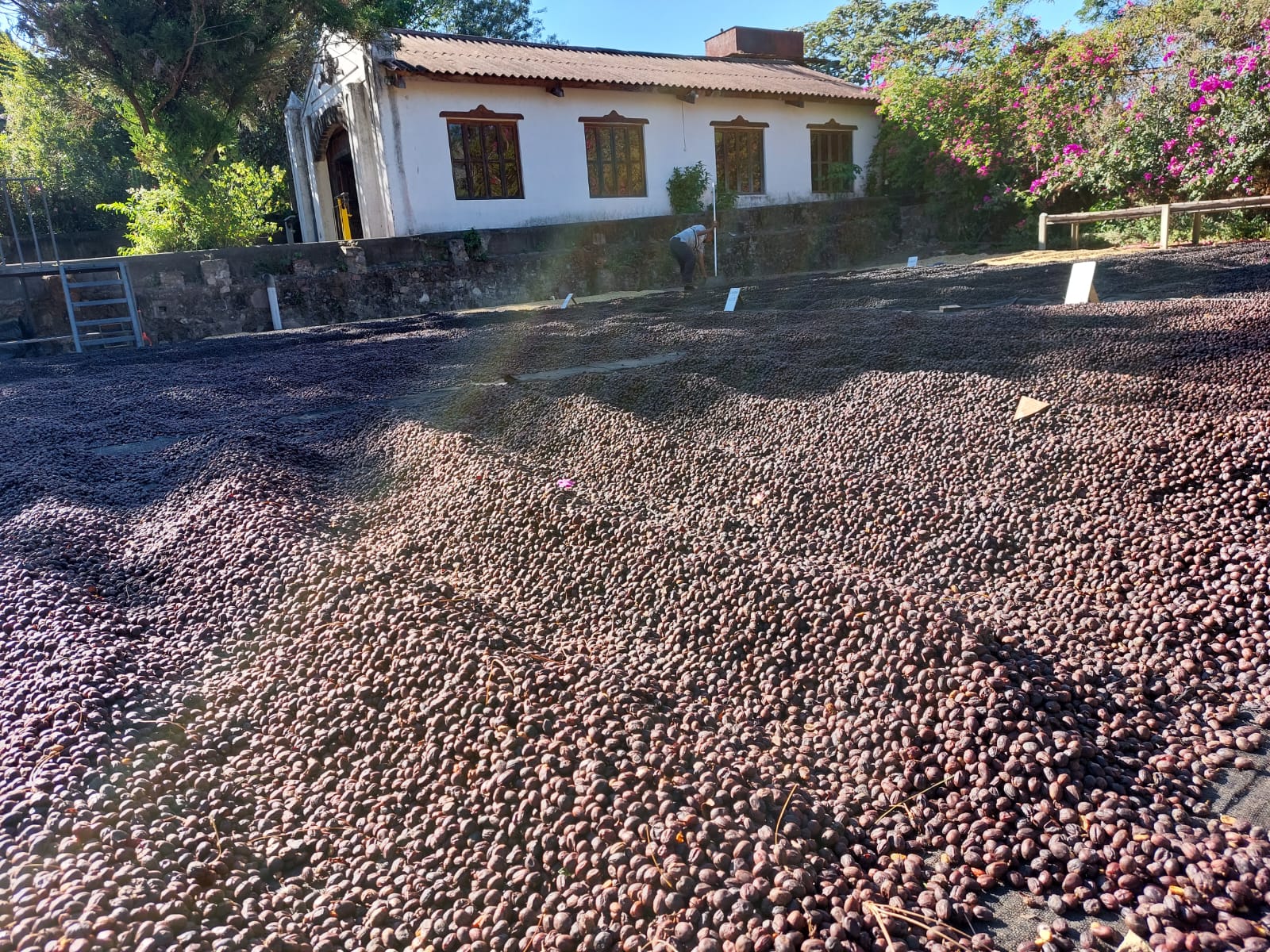 El Cerro