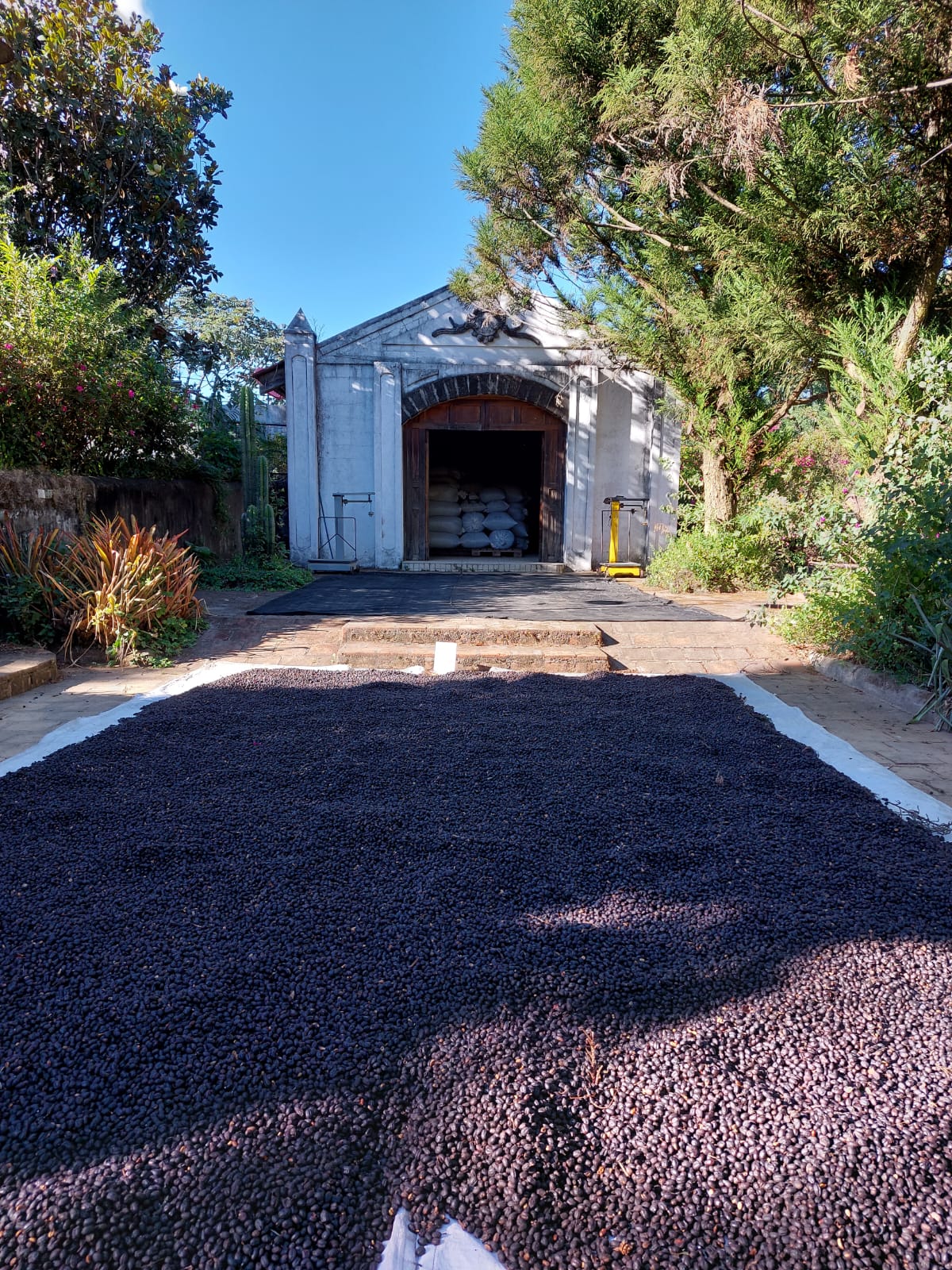 El Cerro