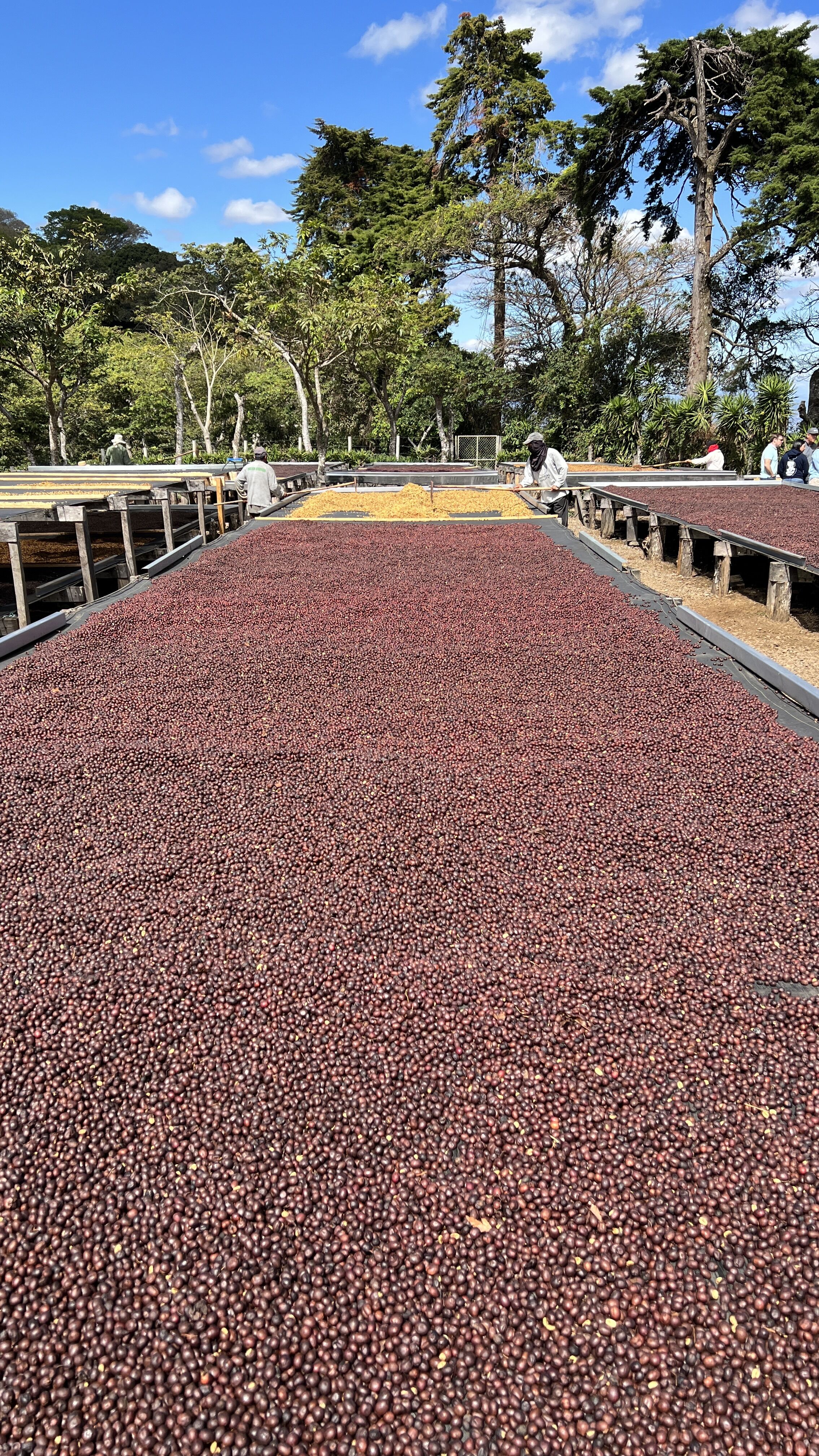 divisadero_51852752642_o.jpg