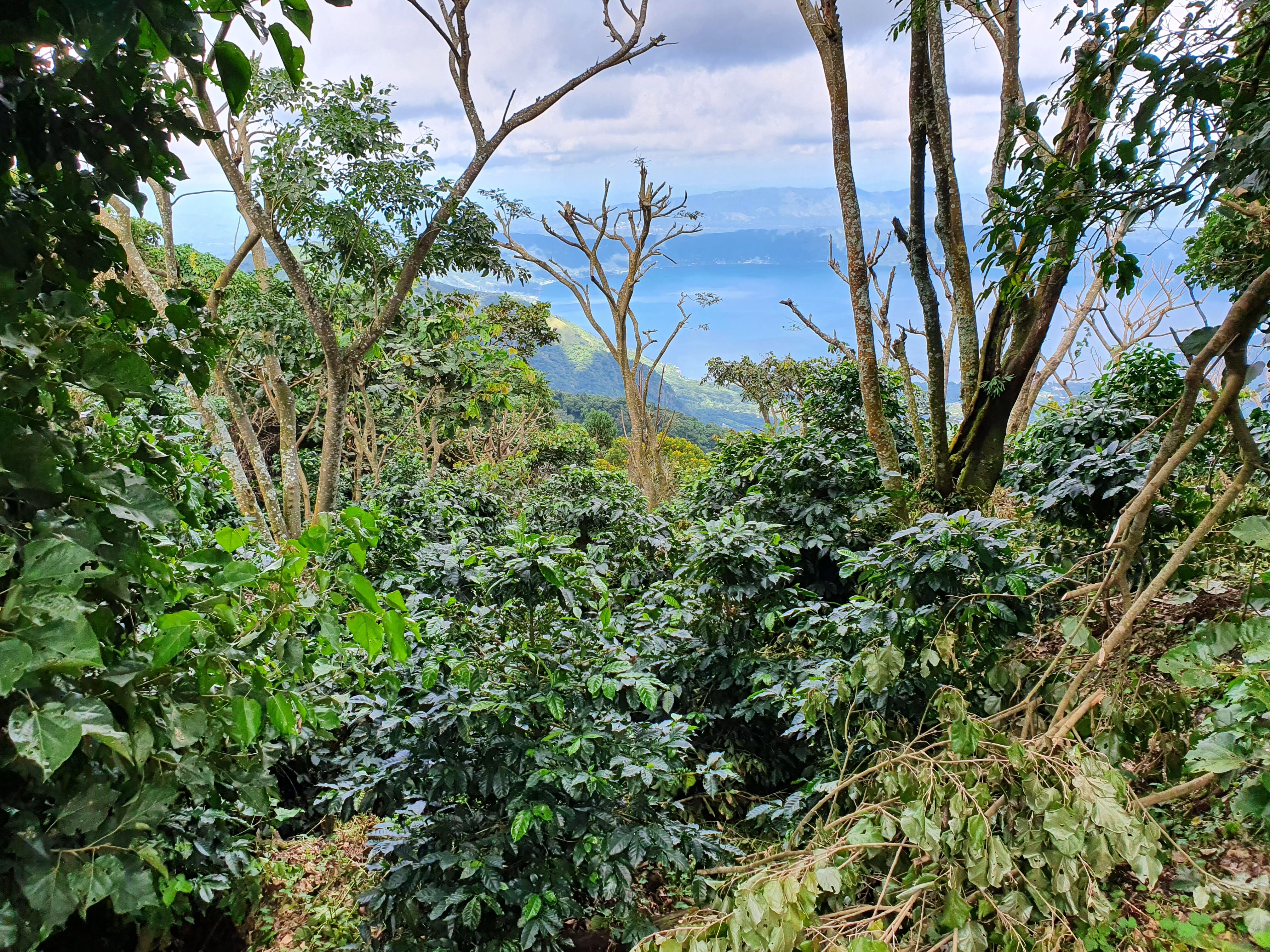 el-mirador_52483013142_o.jpg