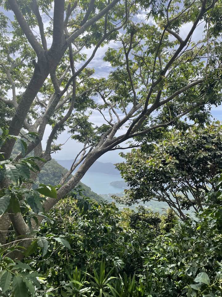 Finca San José