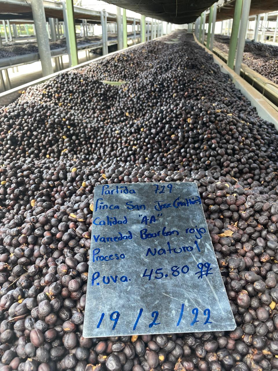 Finca San José