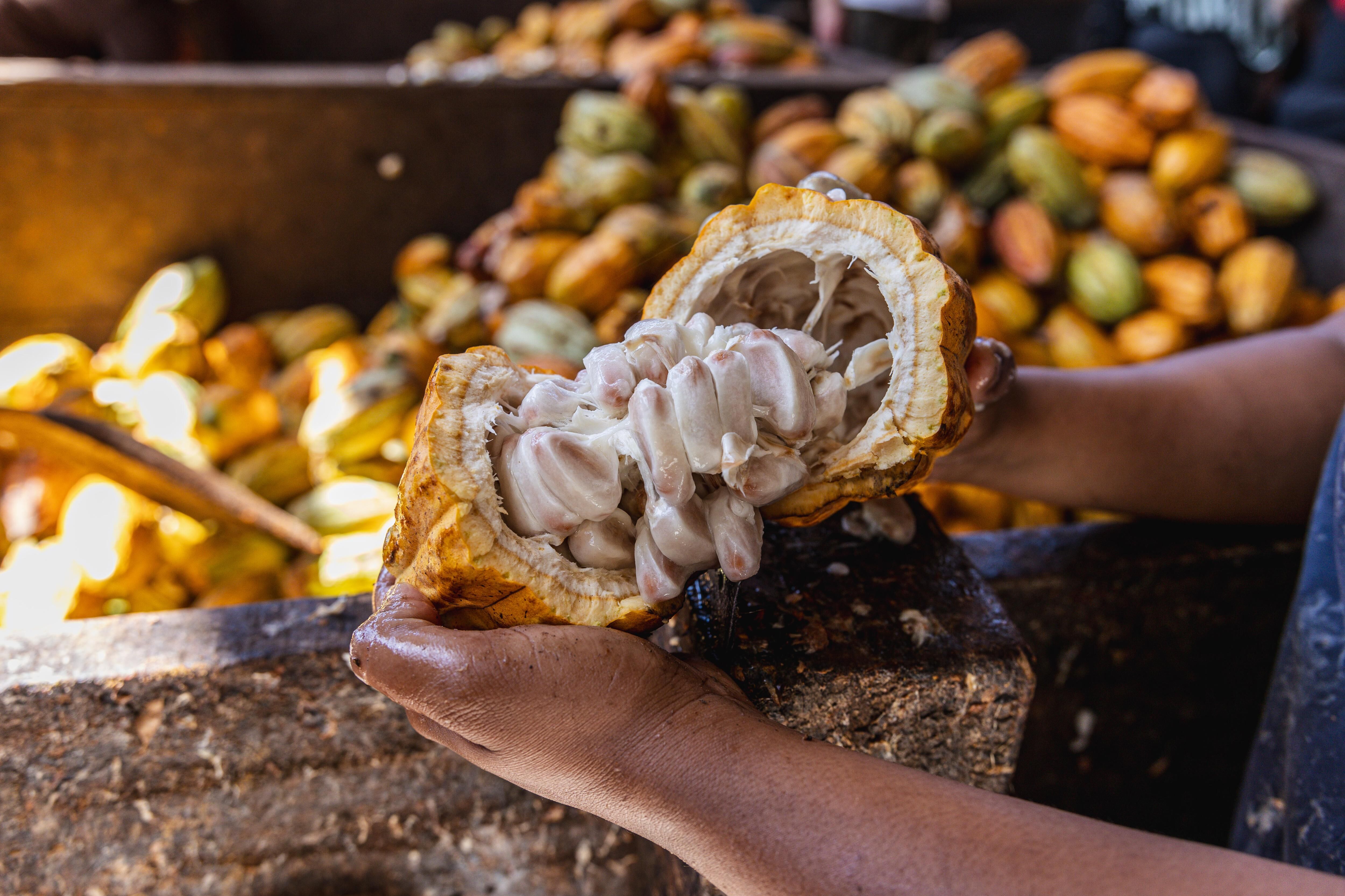 Hacienda La Carrera_25 (10).jpg