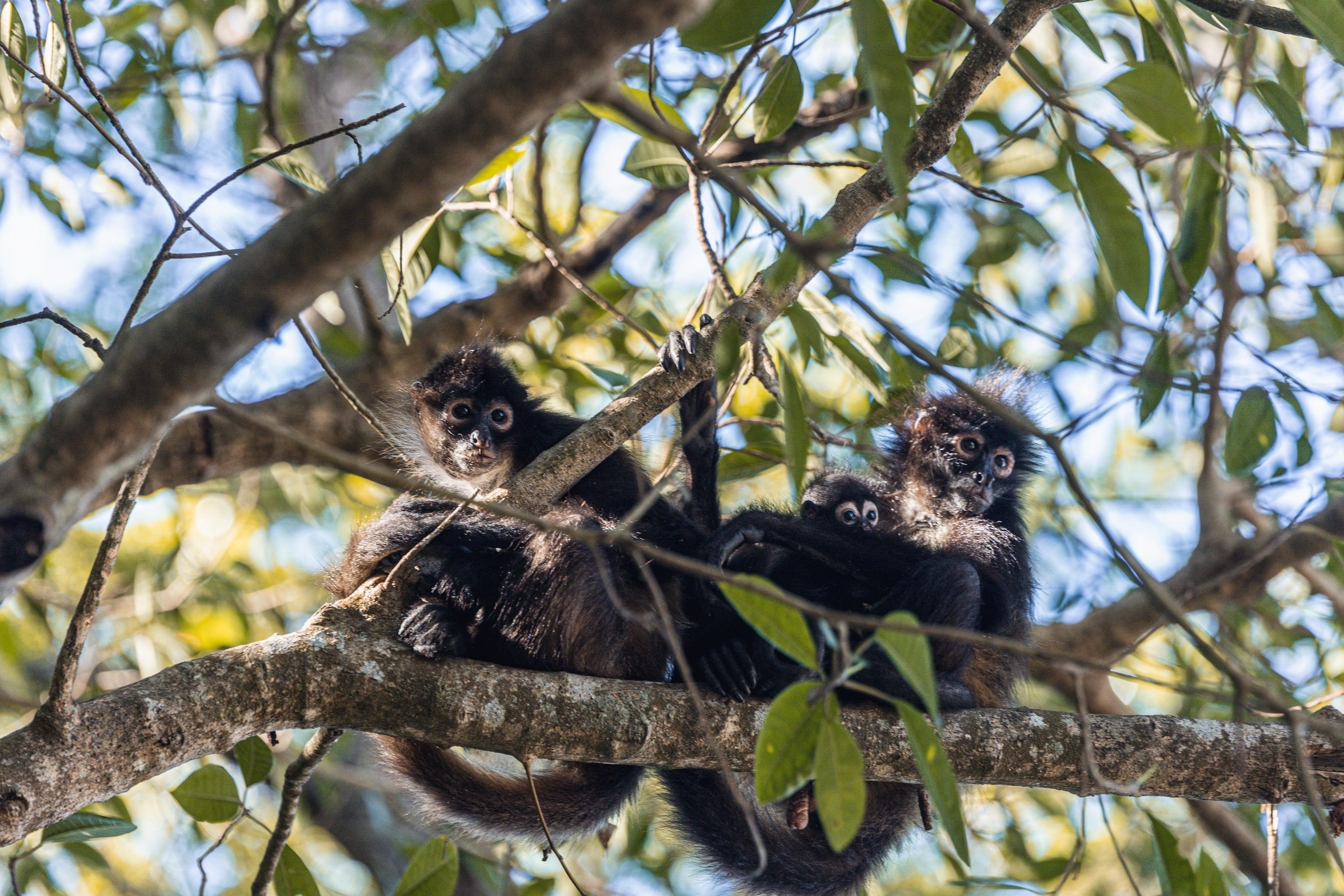 Hacienda La Carrera_25 (15).jpg