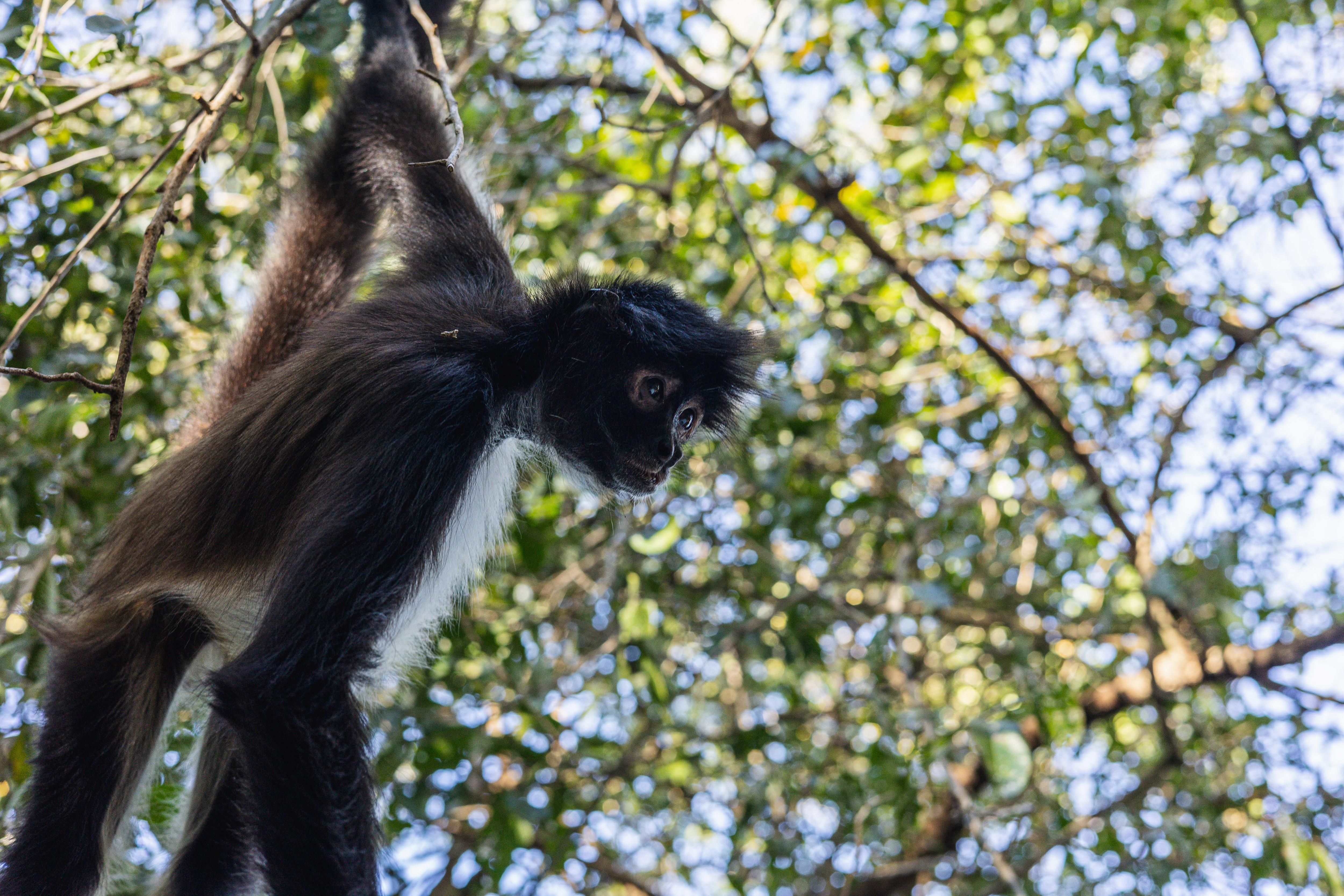 Hacienda La Carrera_25 (16).jpg