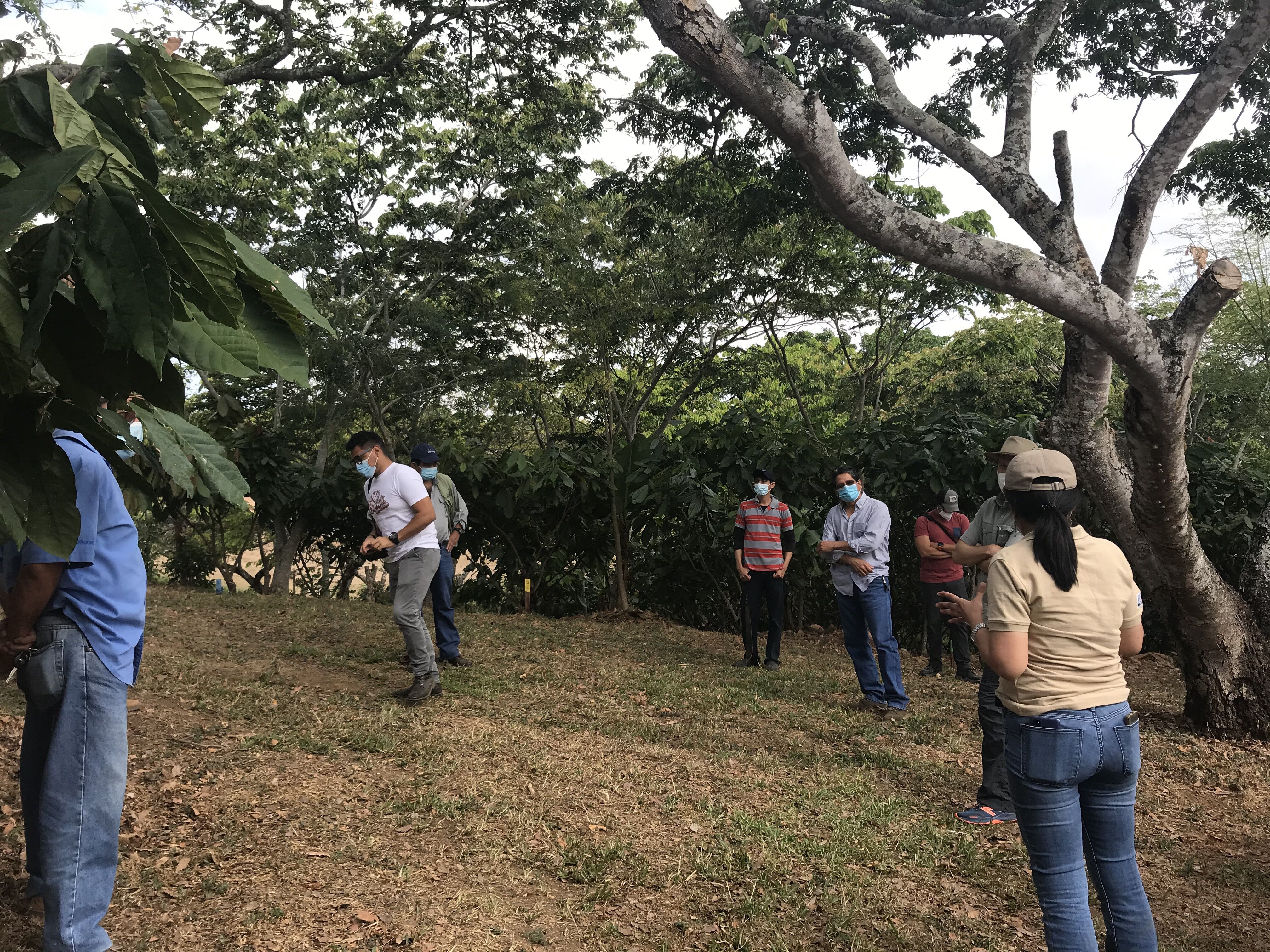 La Catarina (1).HEIC