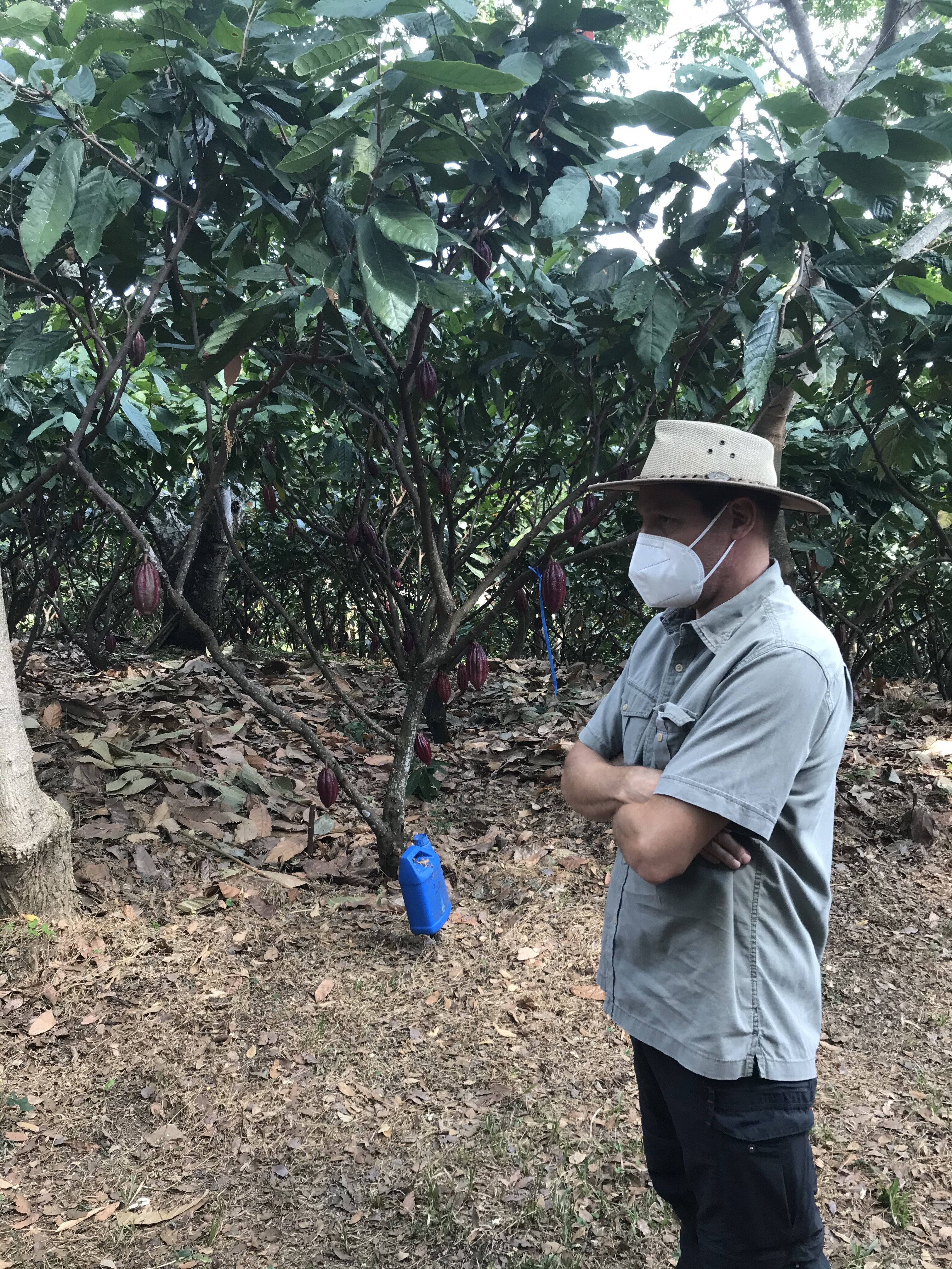 La Catarina (10).HEIC