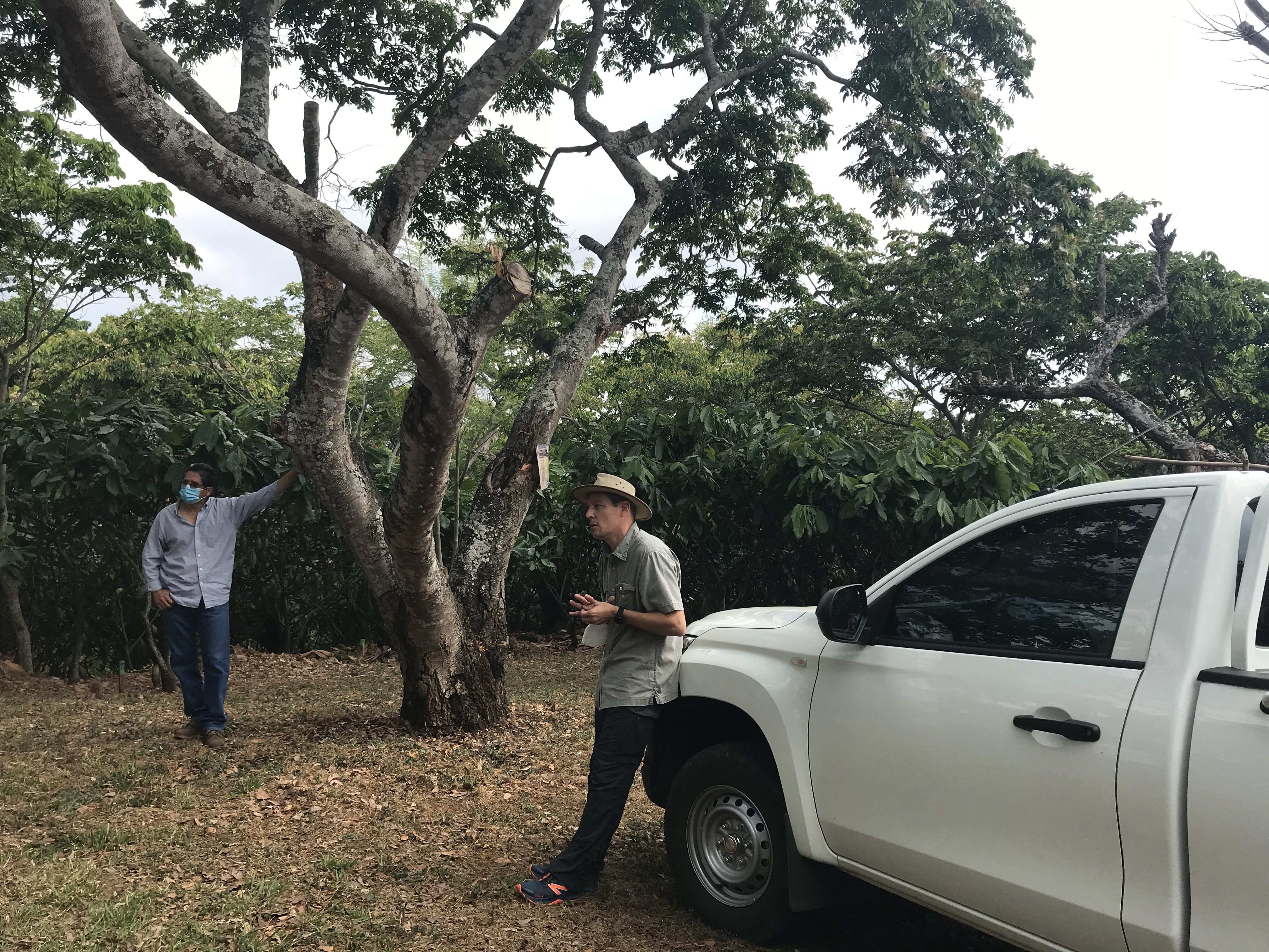 La Catarina (3).HEIC