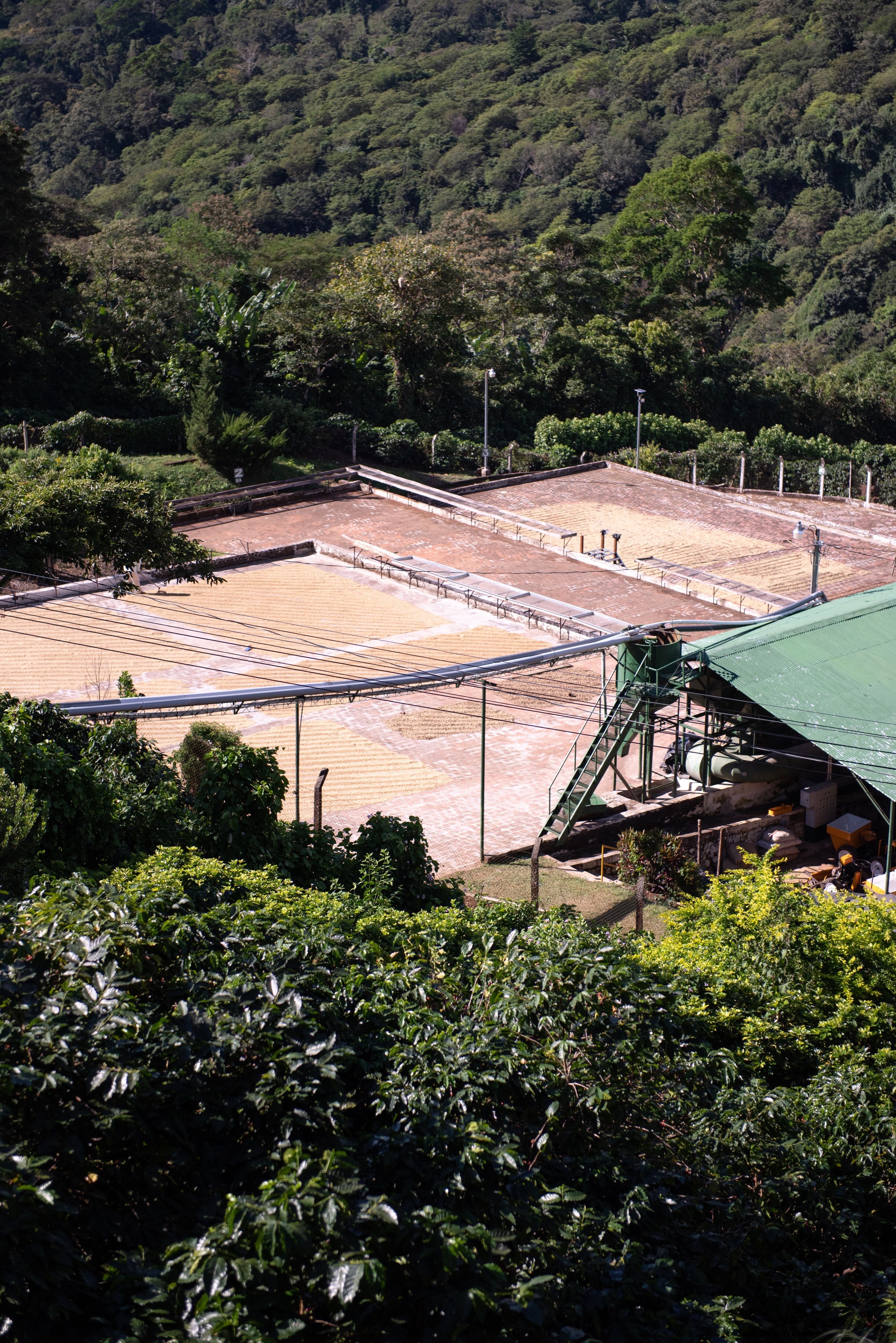 Las Isabellas _ Tequendama Mill-001.jpg