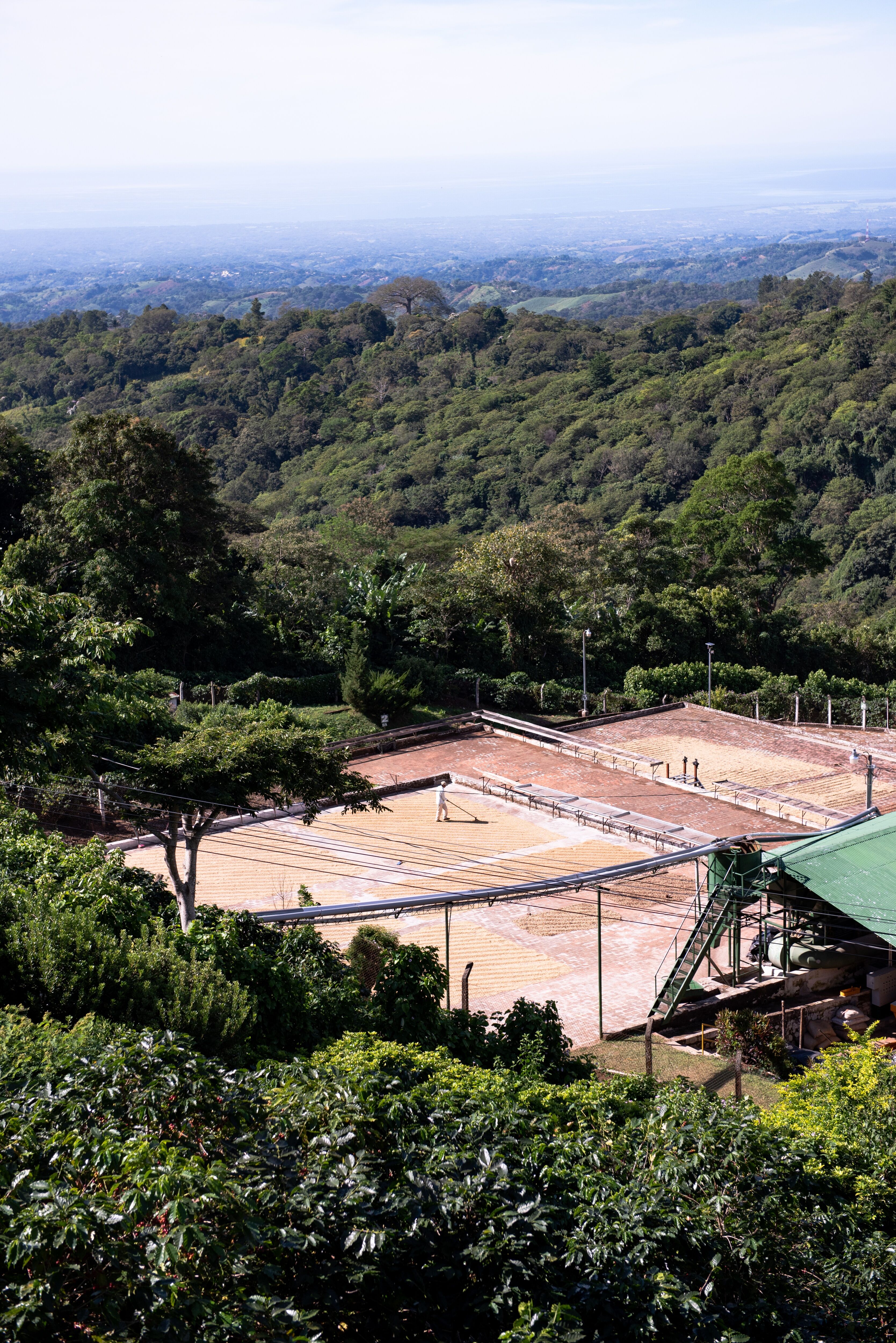 Las Isabellas _ Tequendama Mill-002.jpg