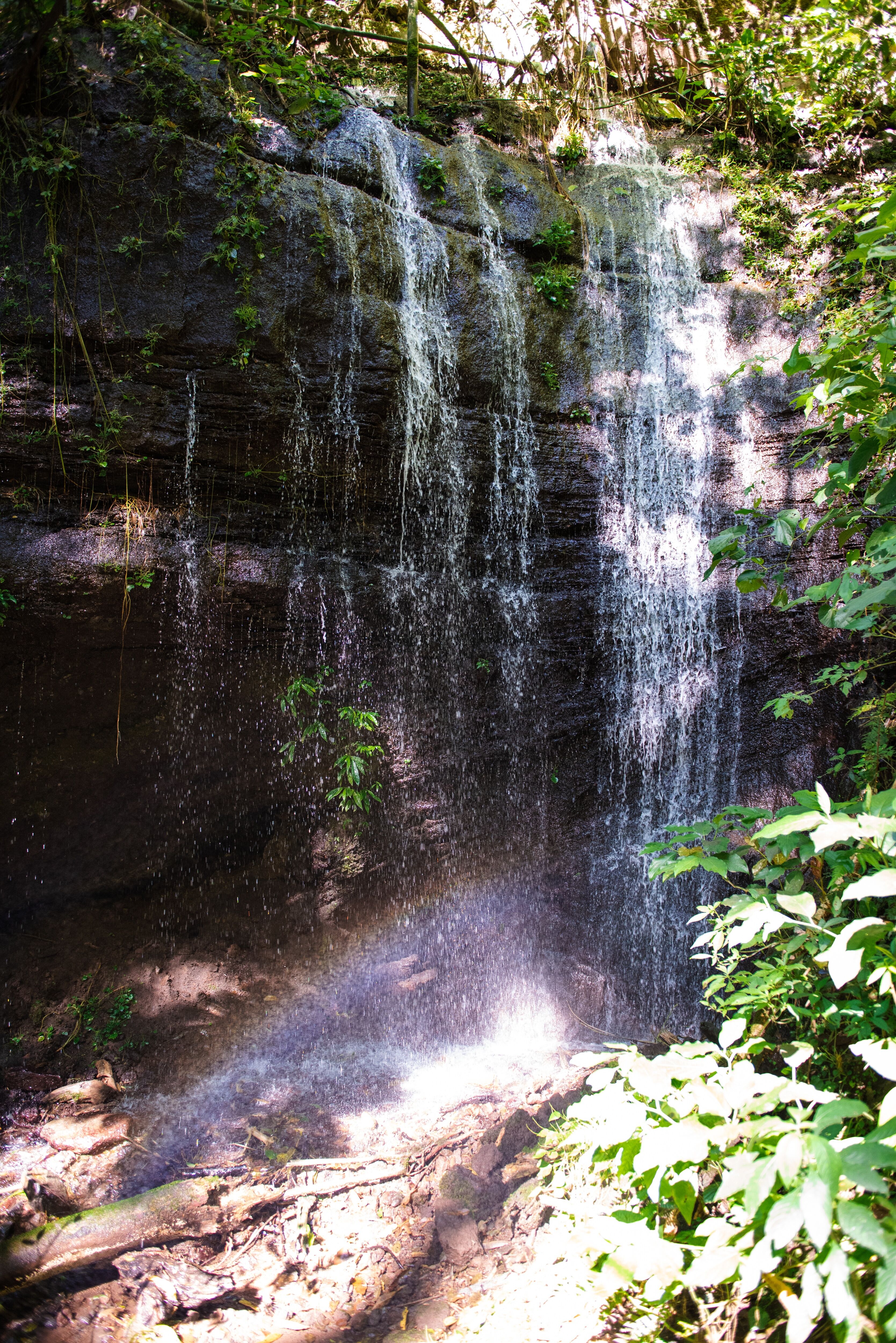Las Isabellas _ Tequendama Mill-022.jpg