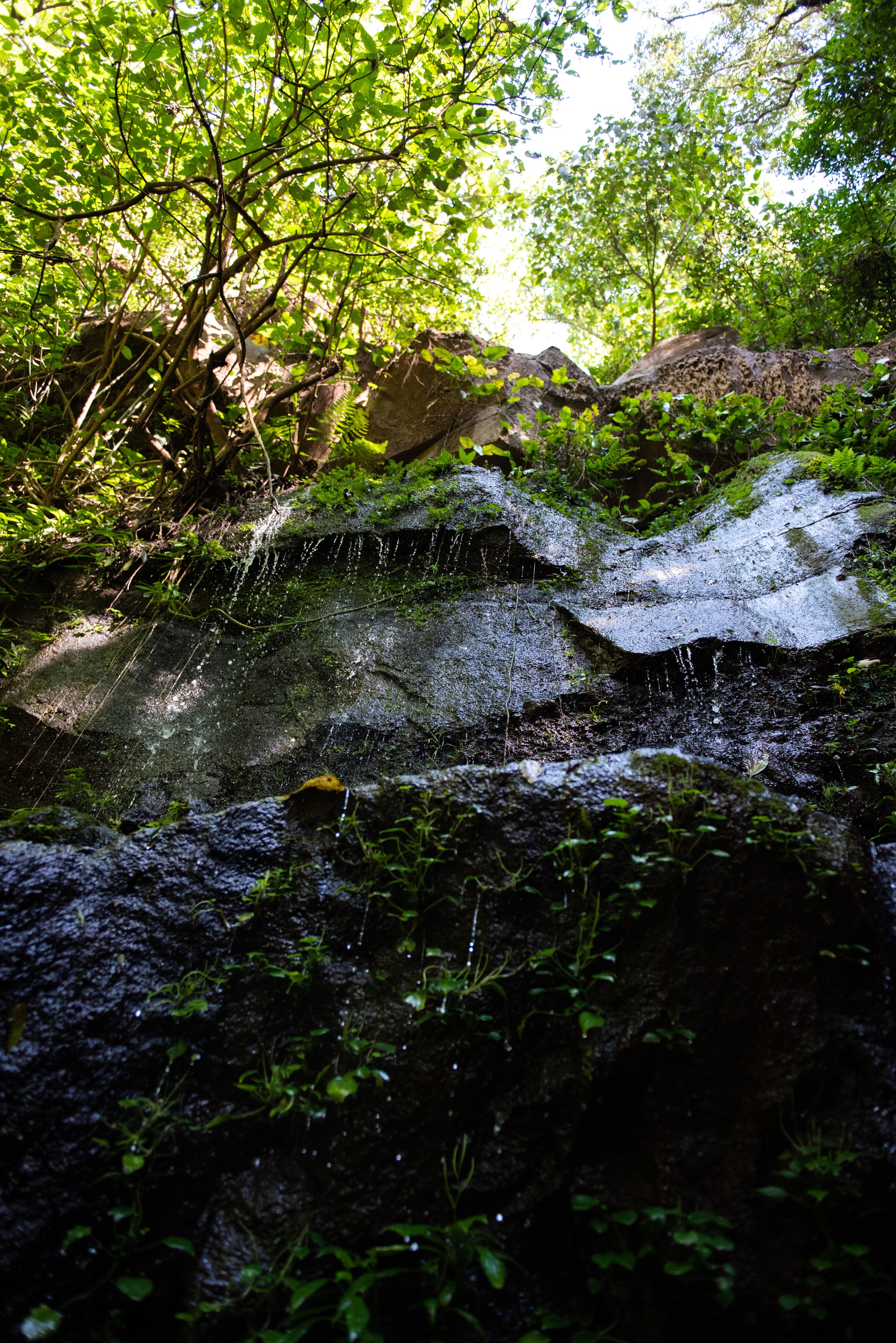 Las Isabellas _ Tequendama Mill-024.jpg