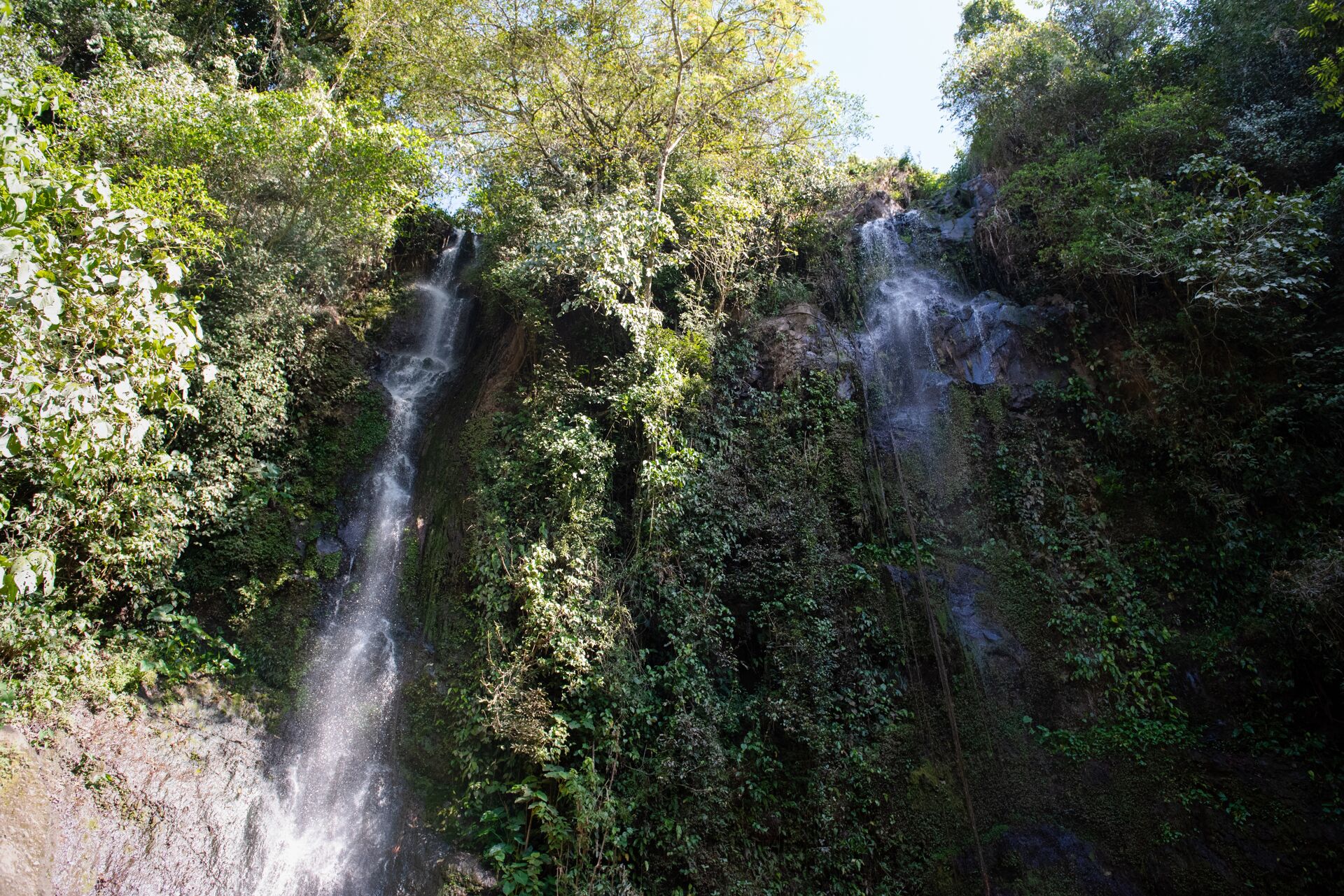 Las Isabellas _ Tequendama Mill-033.jpg