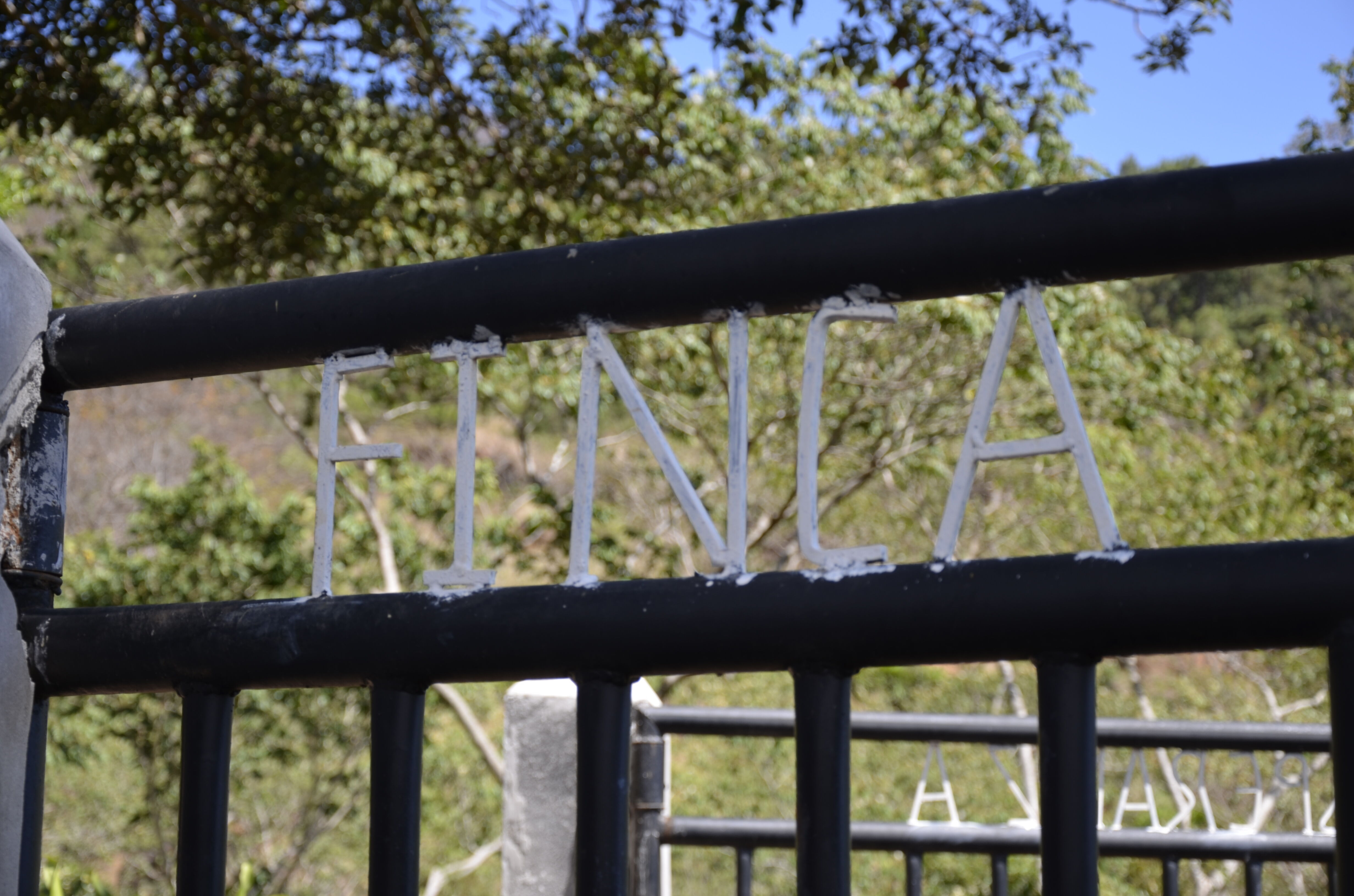 el-salvador-san-isidro_51125011912_o.jpg
