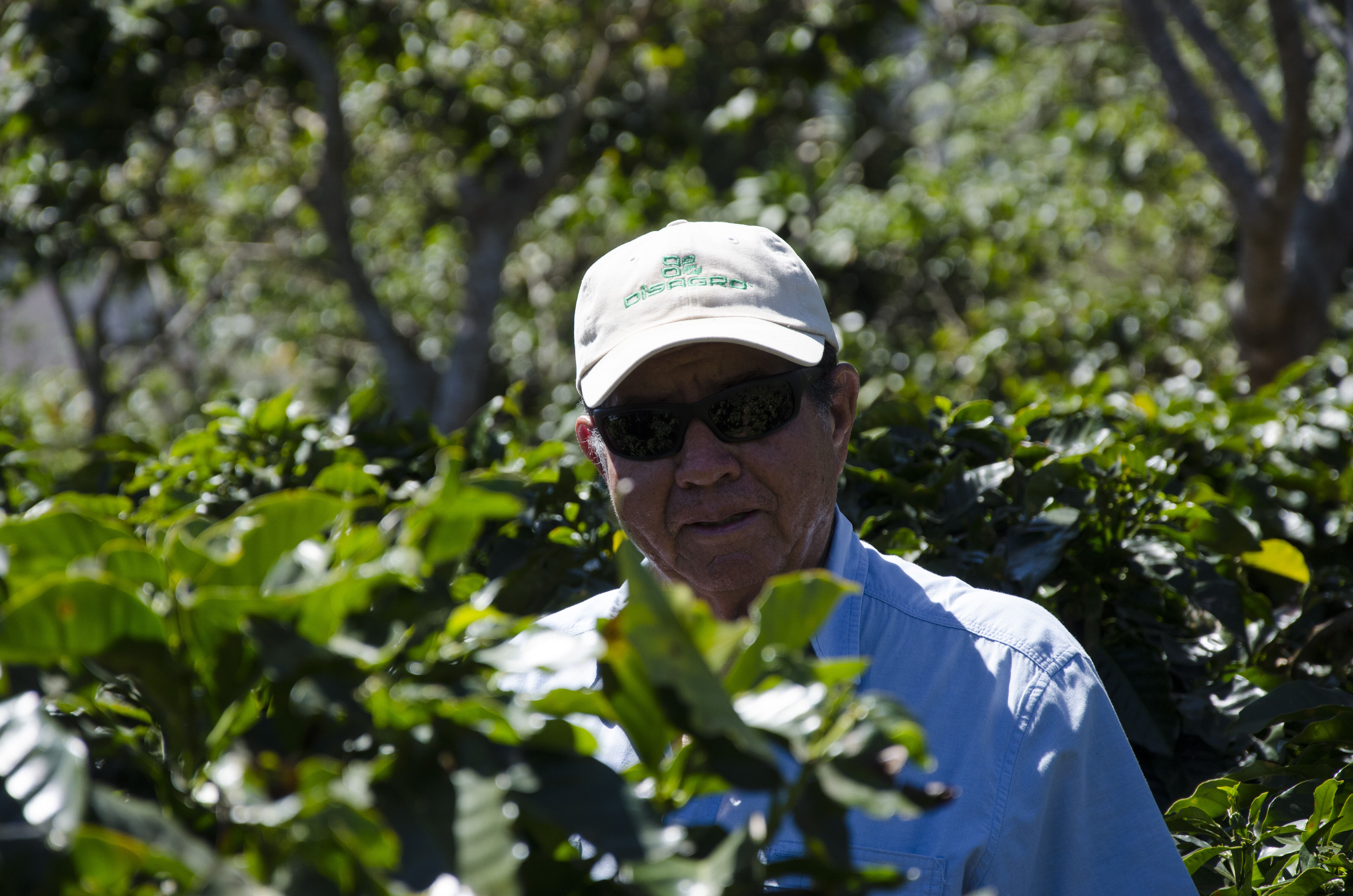 el-salvador-san-isidro_51125320144_o.jpg