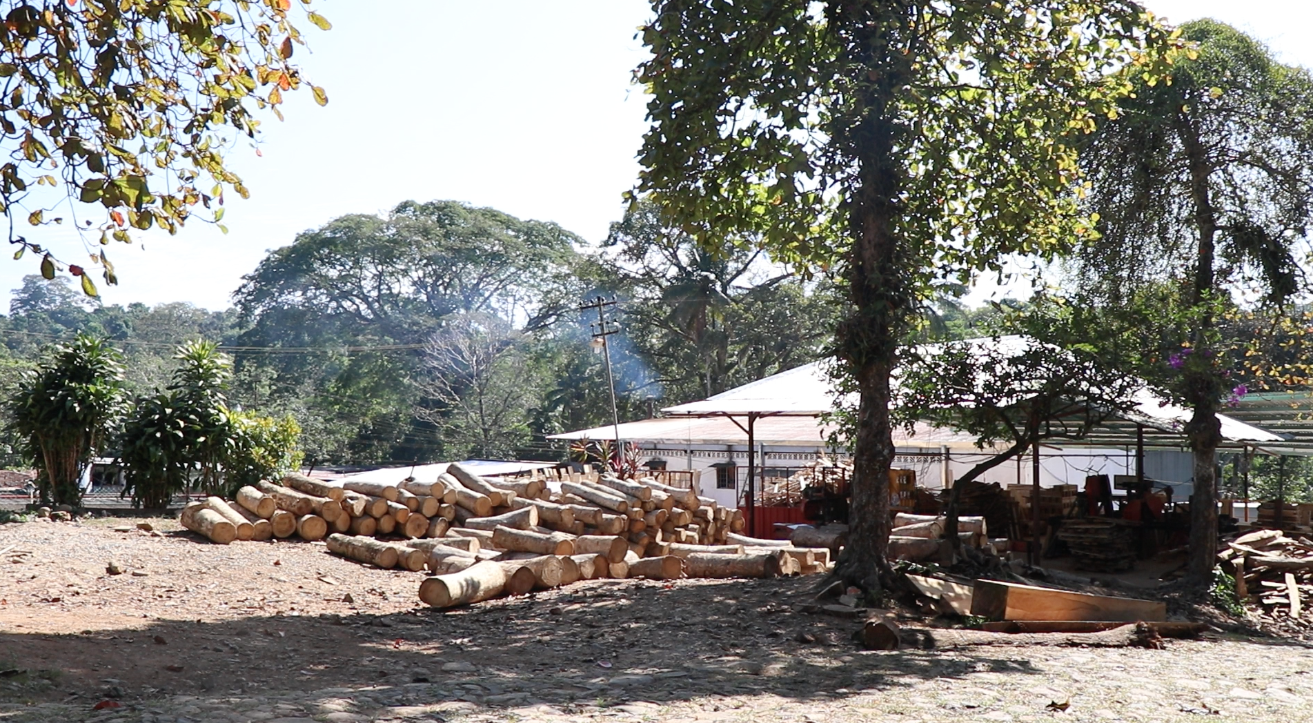 finca-santa-f_50873043583_o.png