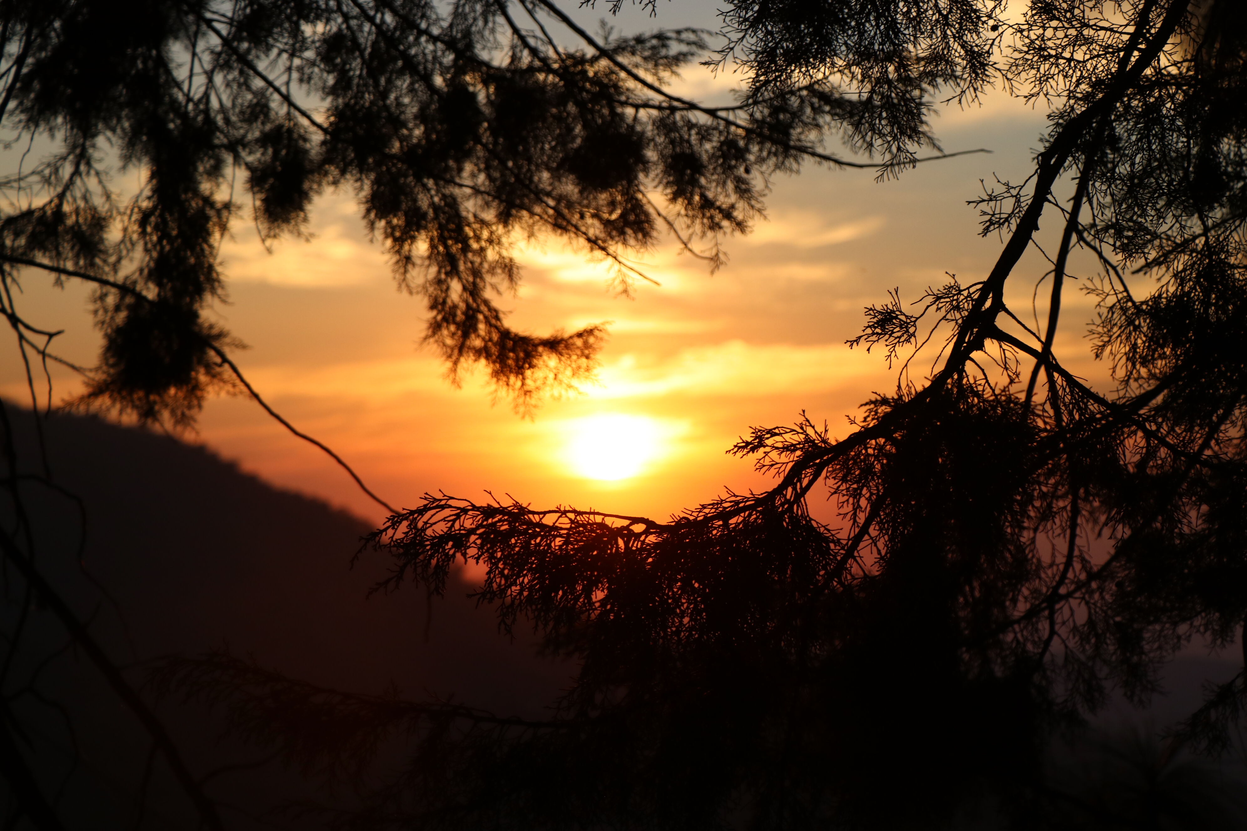 finca-santa-f_50873044878_o.jpg