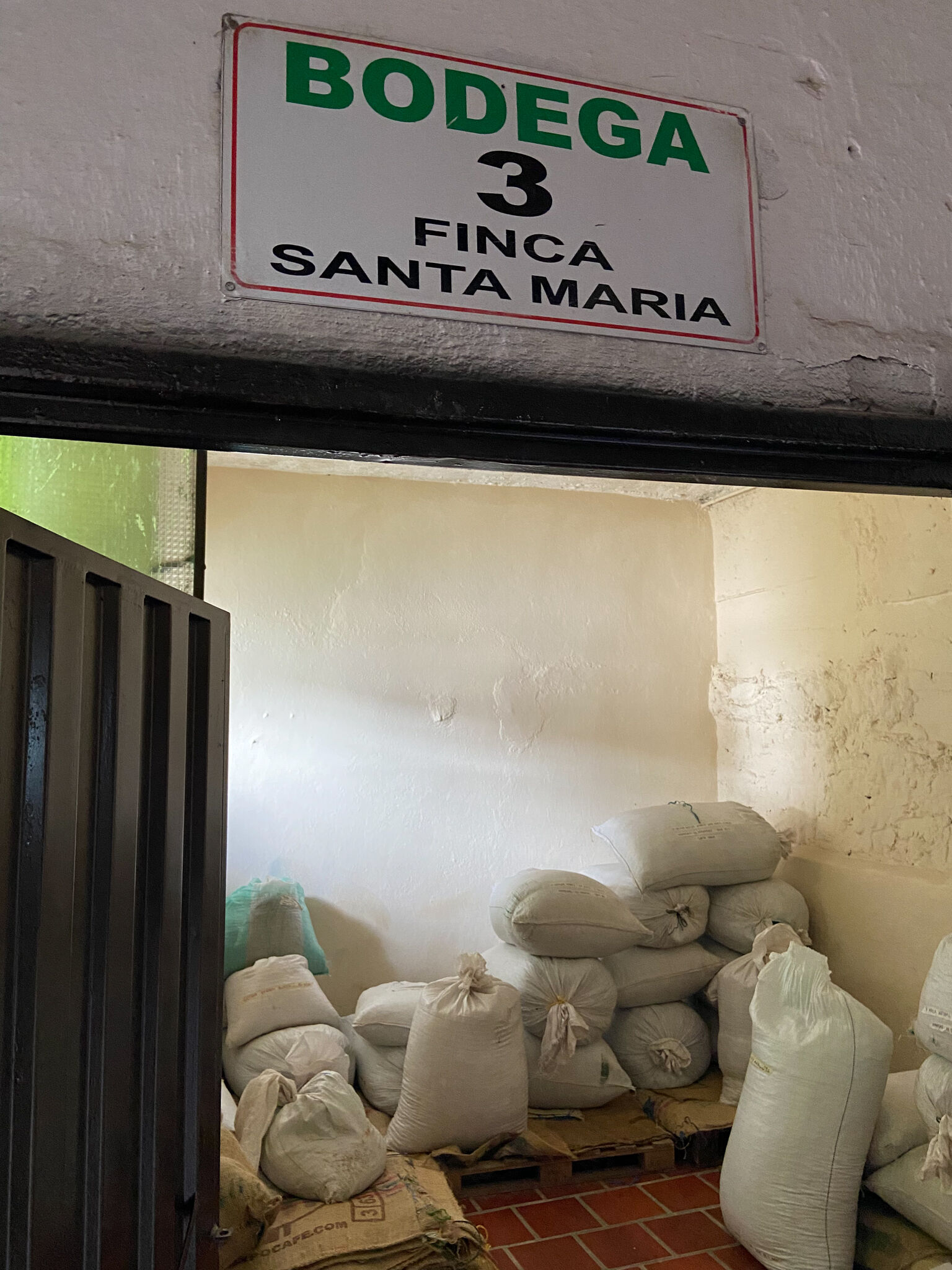 Santa Maria - Women Coffee