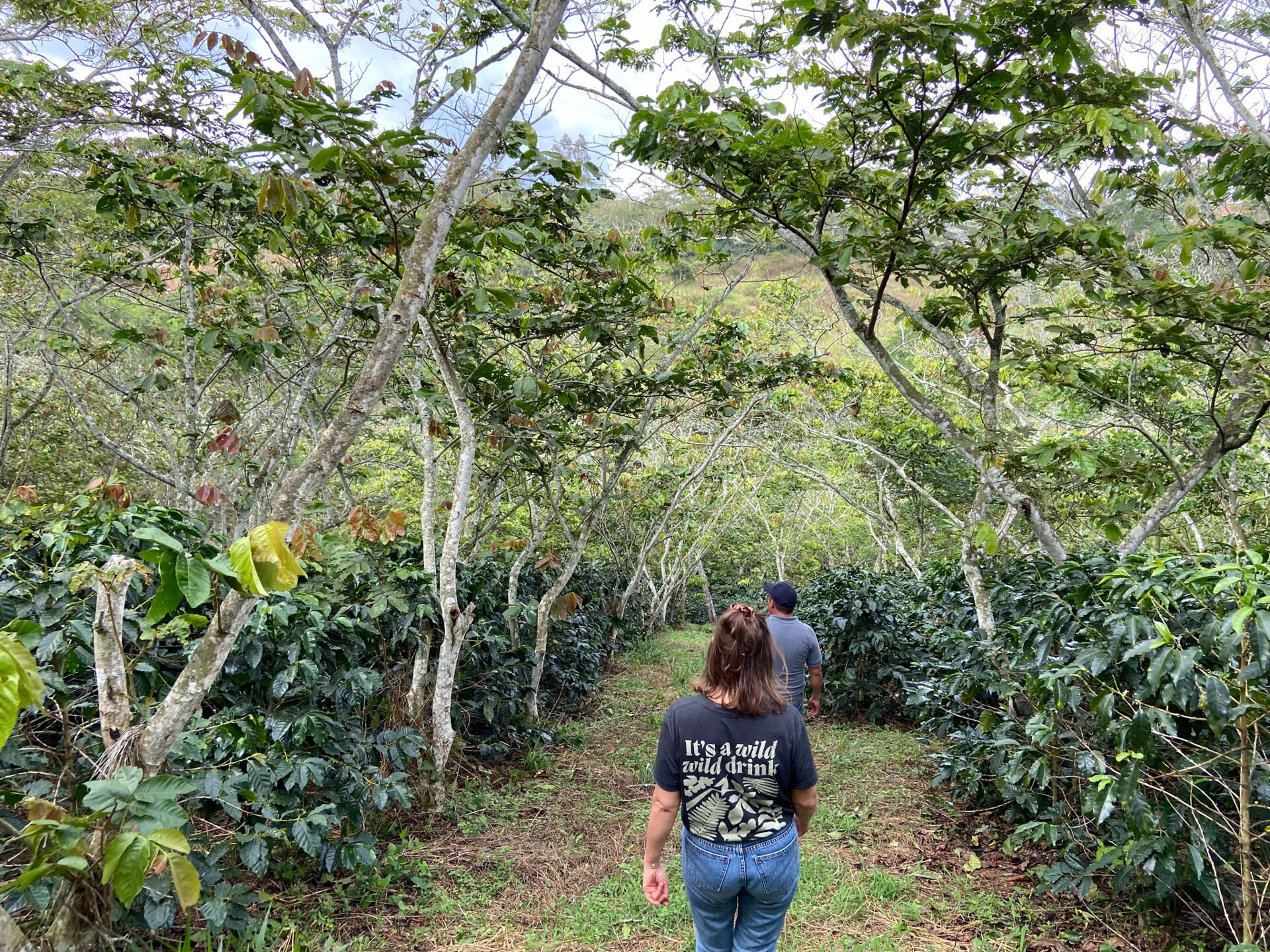 Santa Maria - Women Coffee