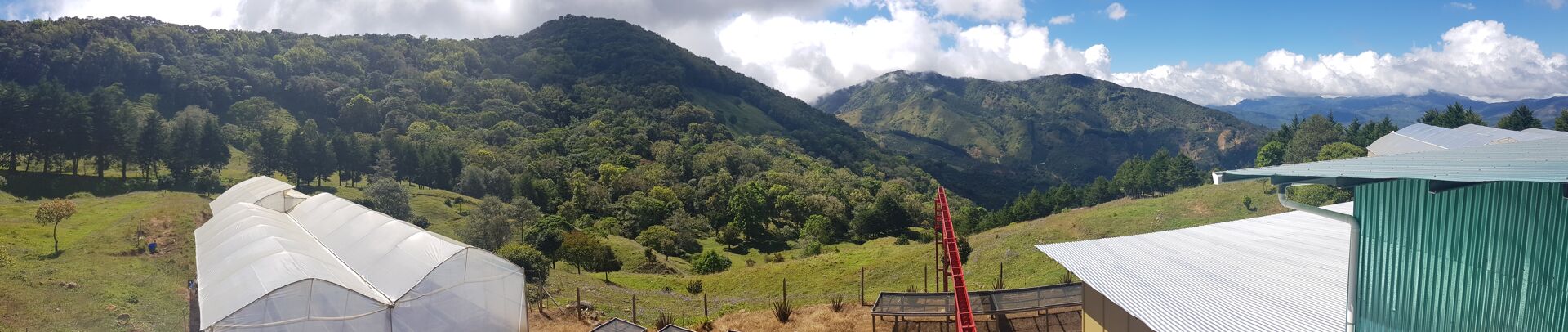 Santa Teresa