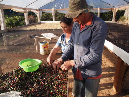 brazil-fazenda-boa-vista_50806263733_o.jpg