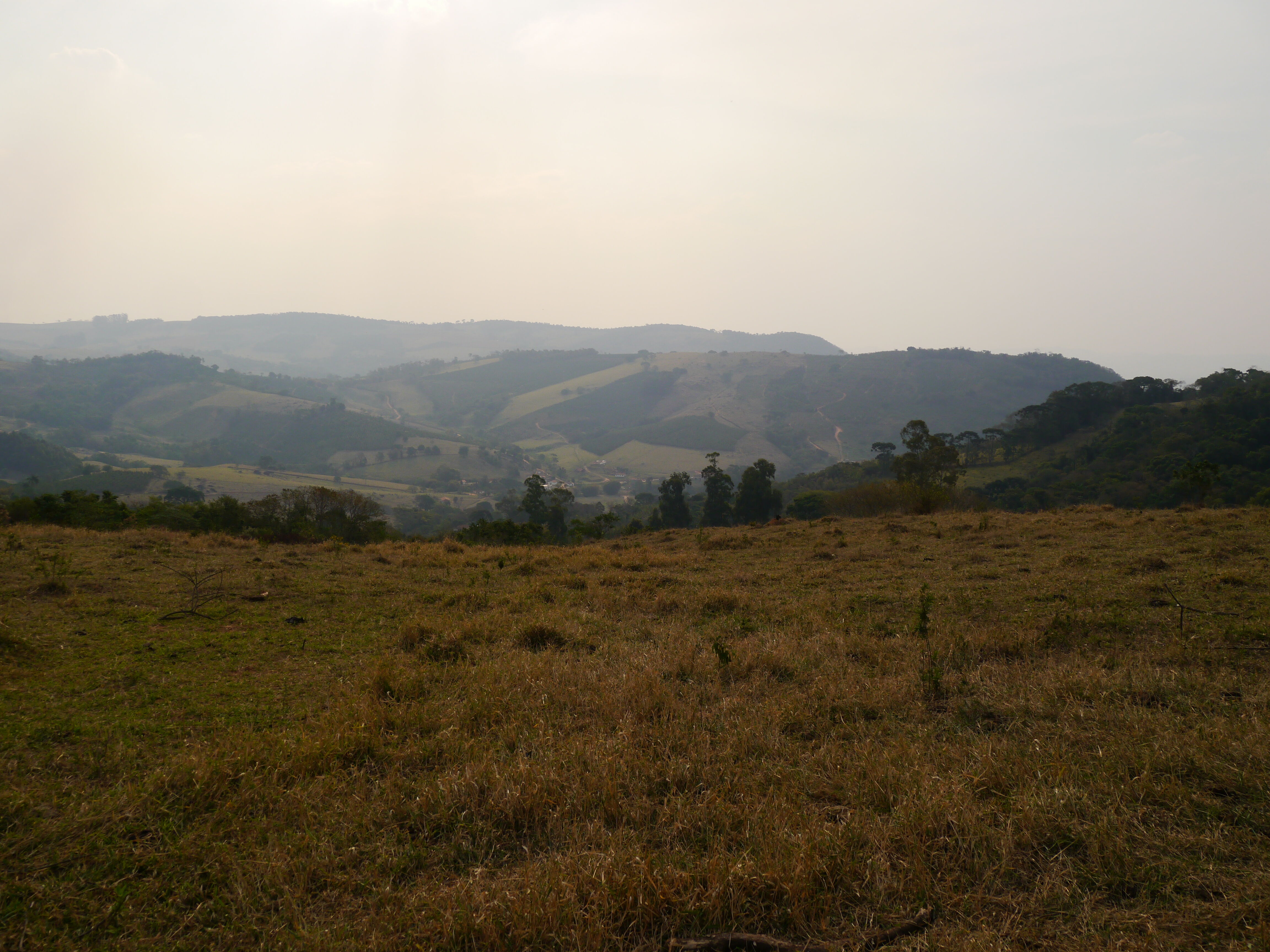 brazil-fazenda-boa-vista_50806265848_o.jpg