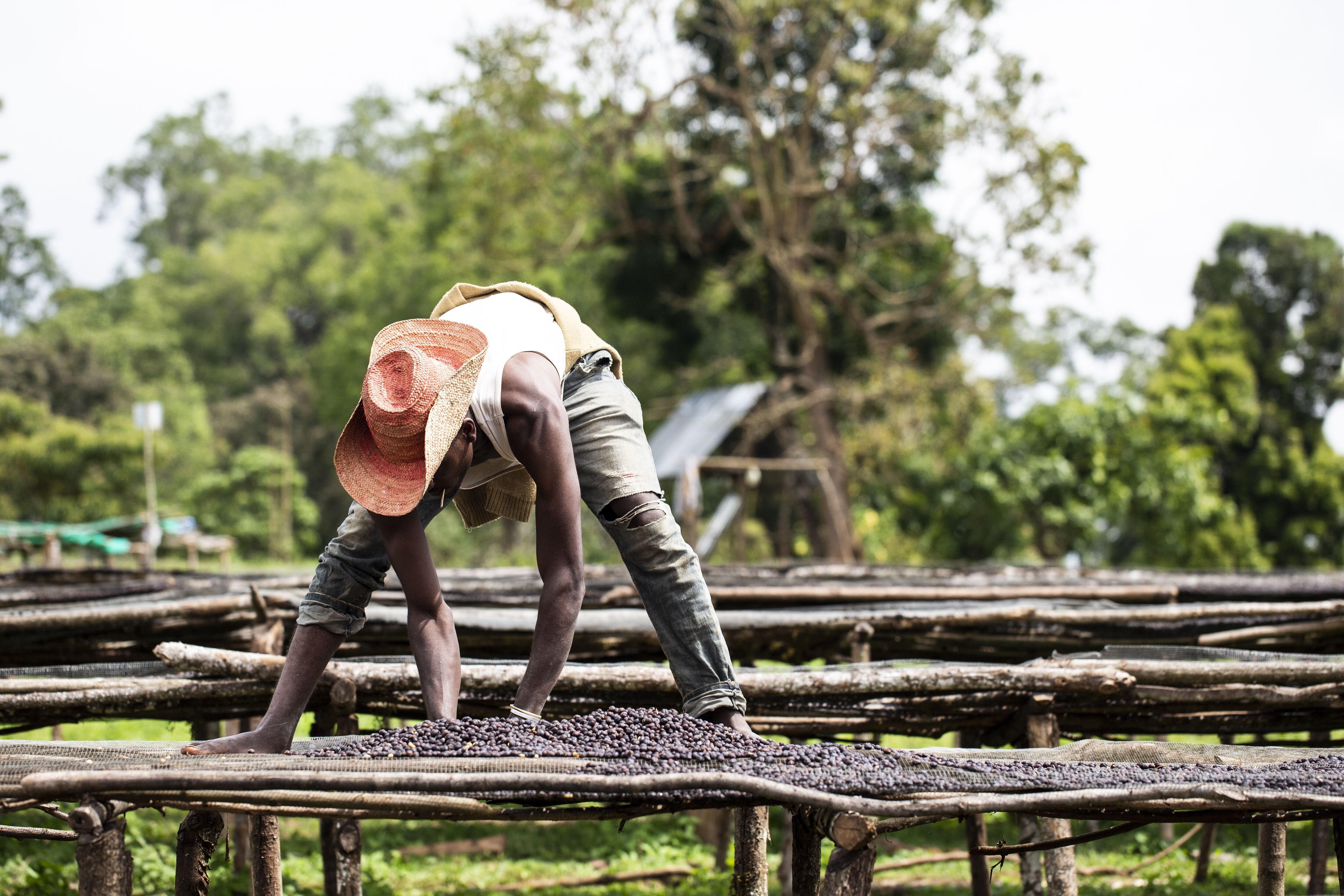 2018.12.11_Bonga_Negussie Tadesse-40.jpg