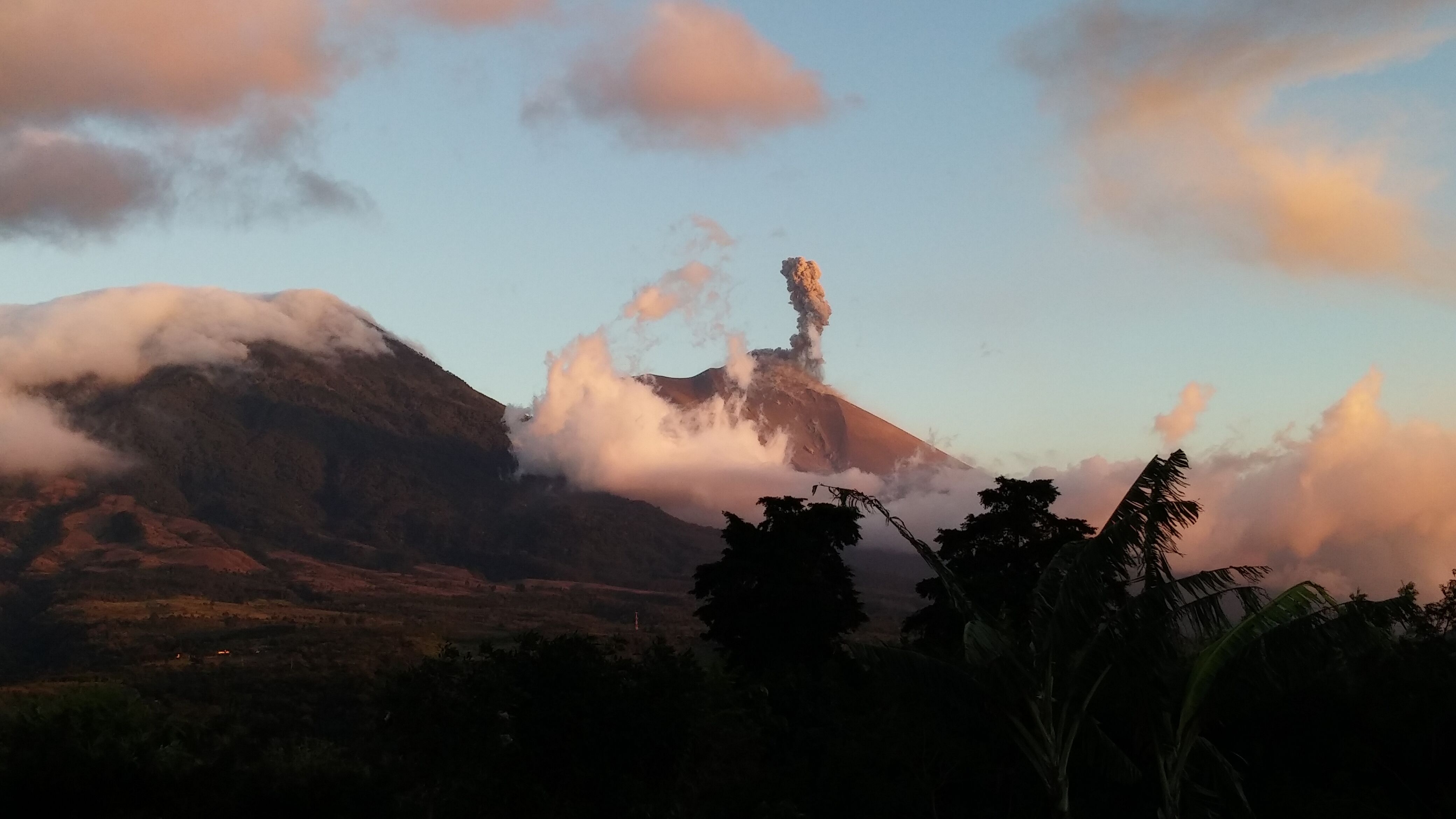 Guatemala - Acatenango - Santa Felisa - 72 K - Geisha africano - Lavé