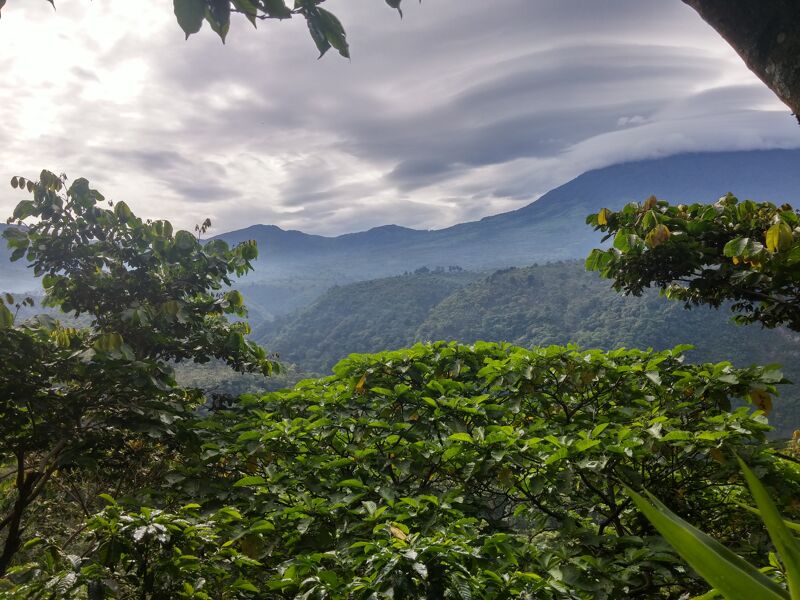 Santa Felisa -