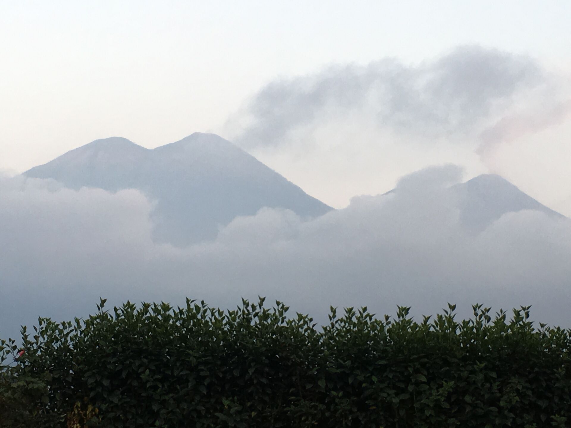 Santa Felisa -