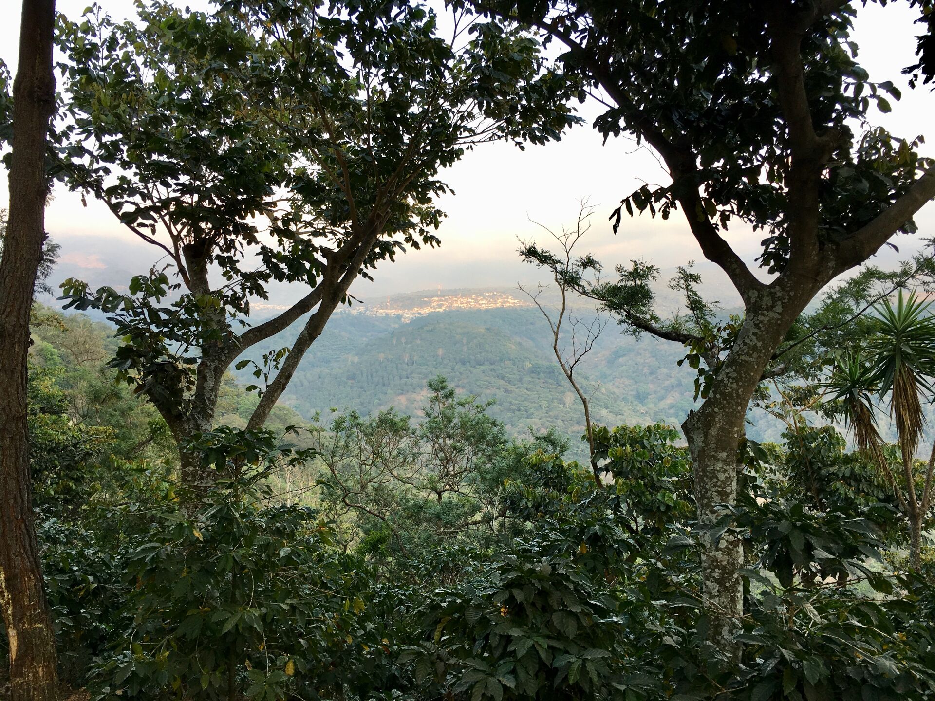 Santa Felisa -