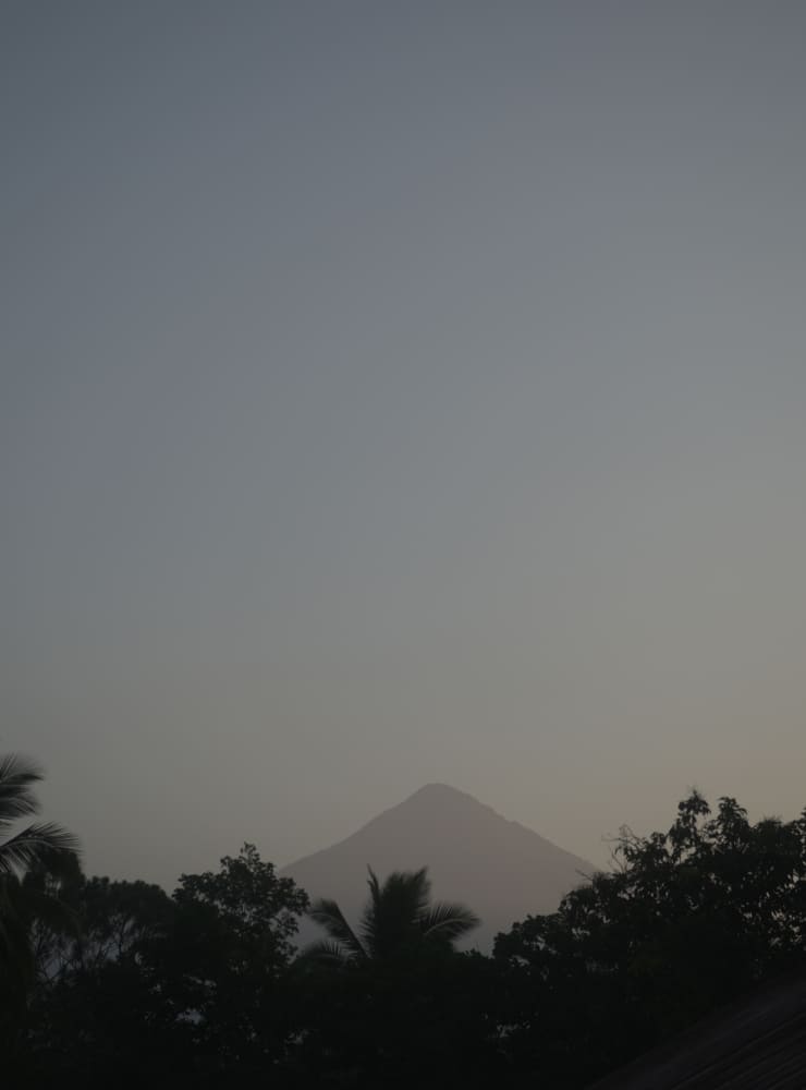 Chiapas Robusta Organik