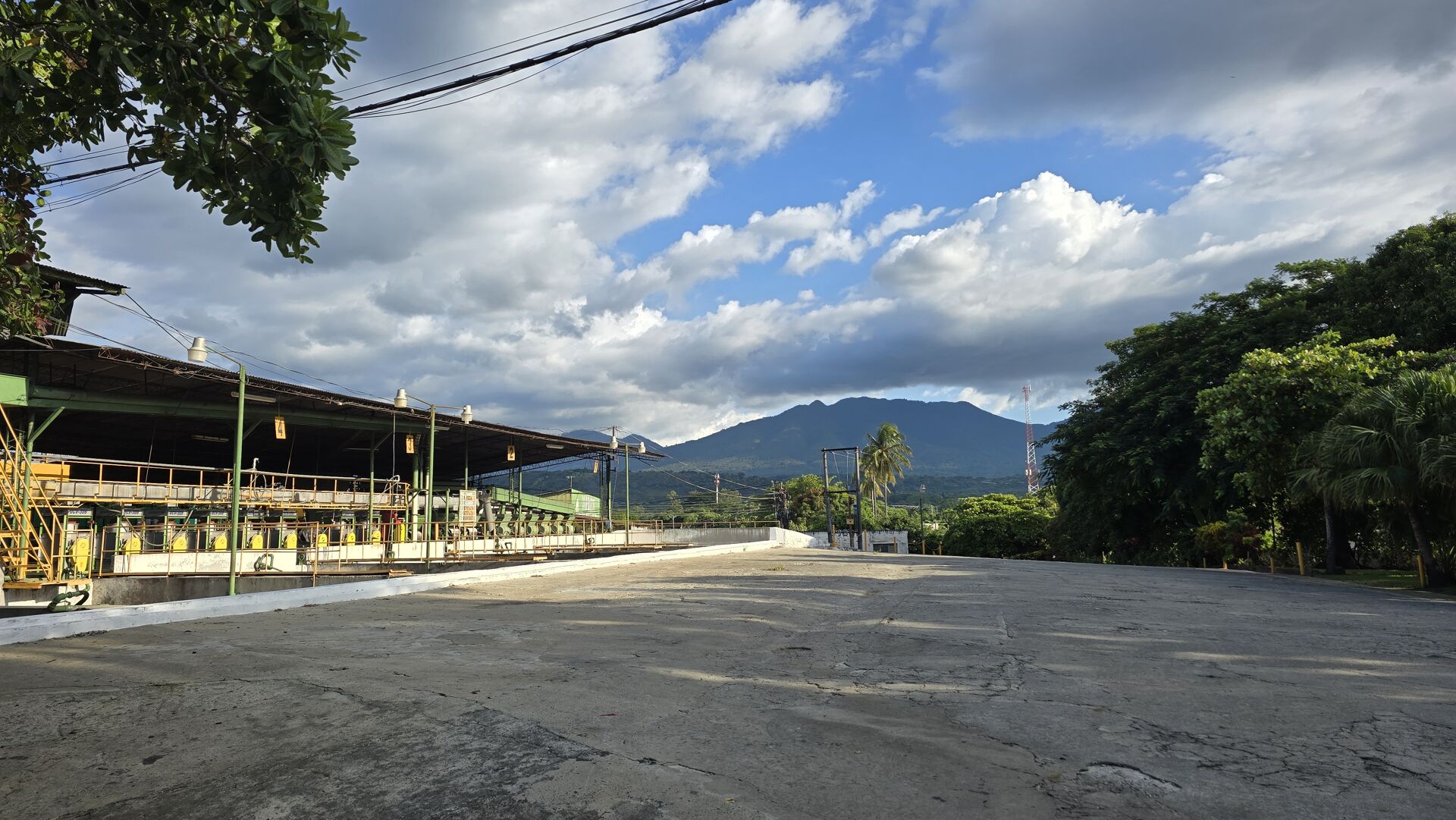 Los Naranjos