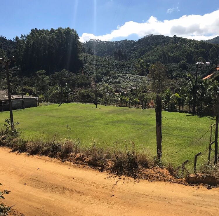 Bob O Link - Rancho Dantas