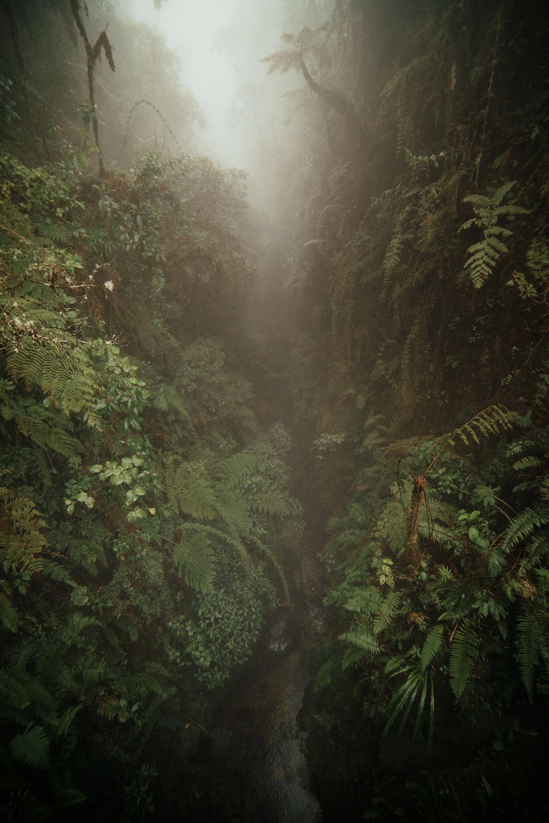 Aymara