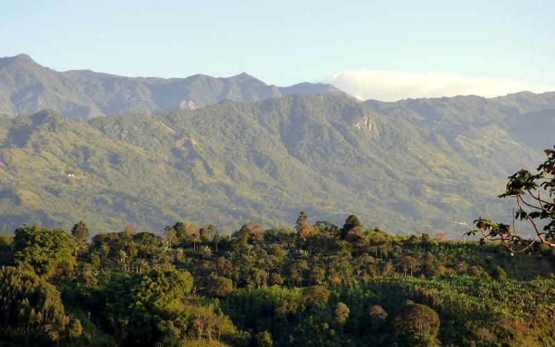 Santa Teresa