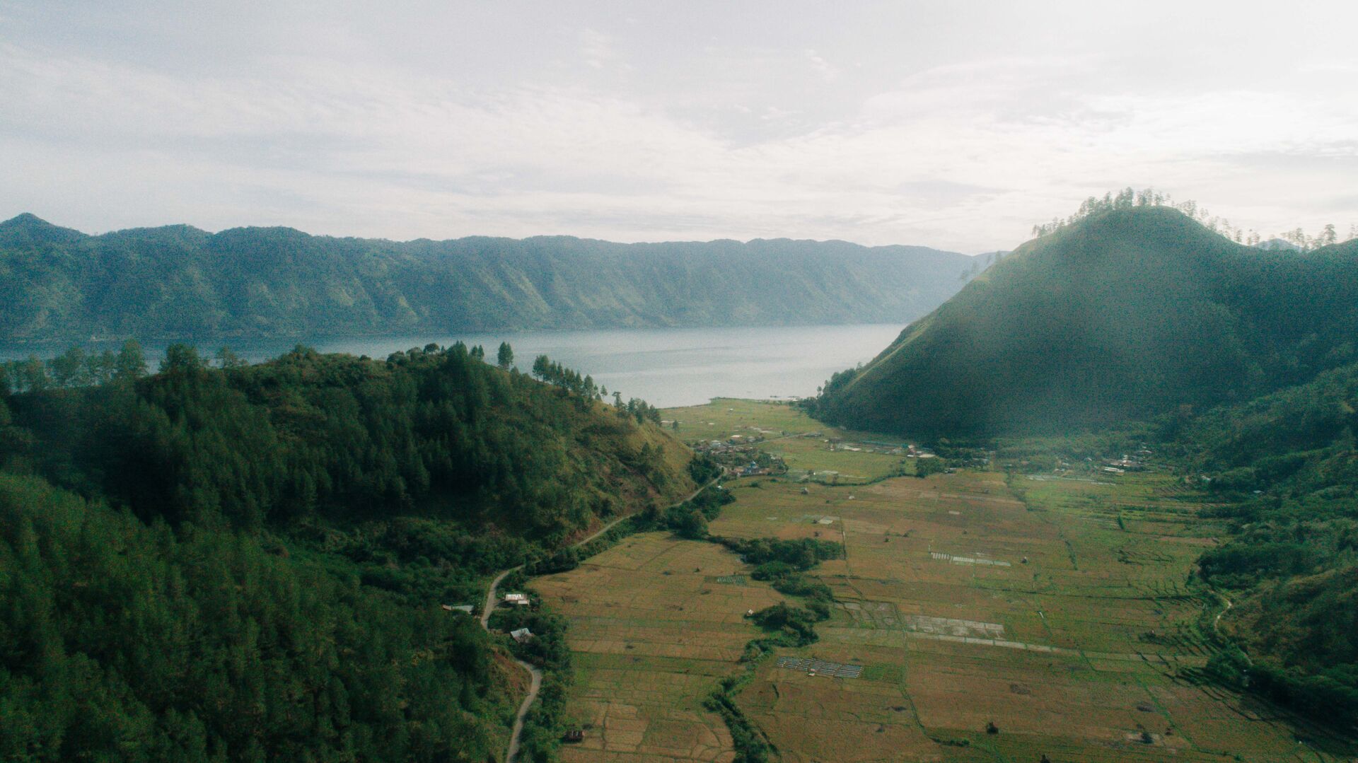 Manis Madu