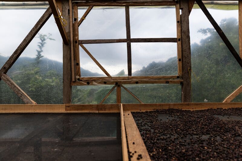 La Selva Chiroso