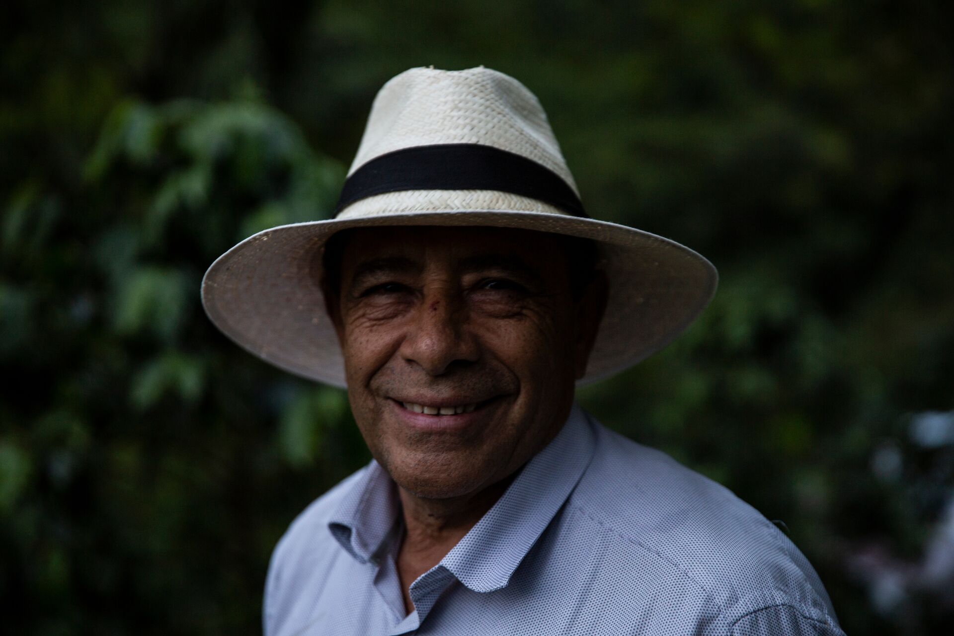 Pincelito